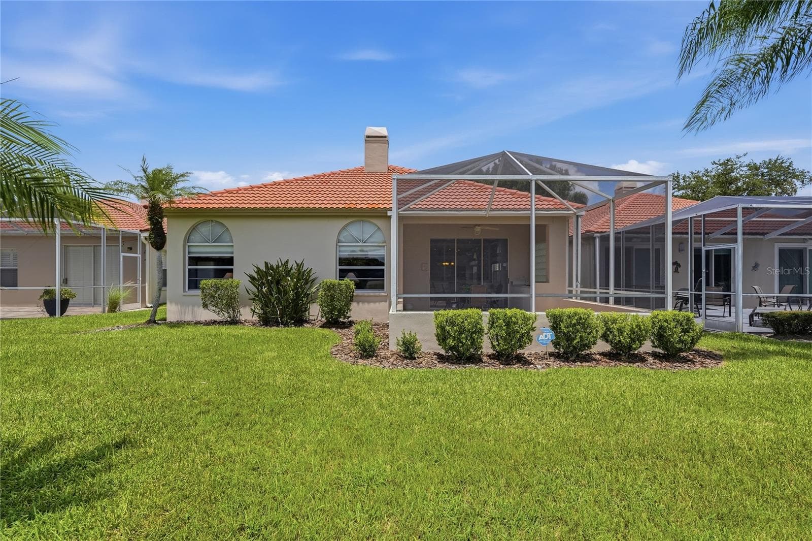 Back Yard - 1063 DARTFORD DR, TARPON SPRINGS