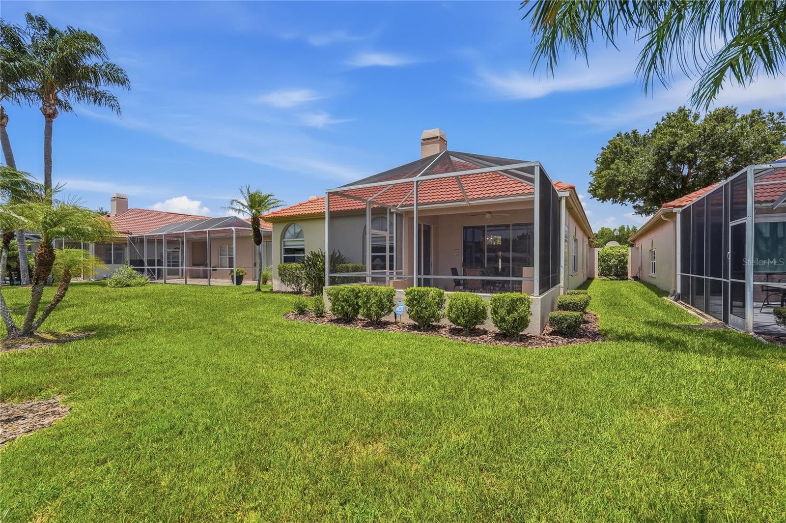 Back Yard - 1063 DARTFORD DR, TARPON SPRINGS