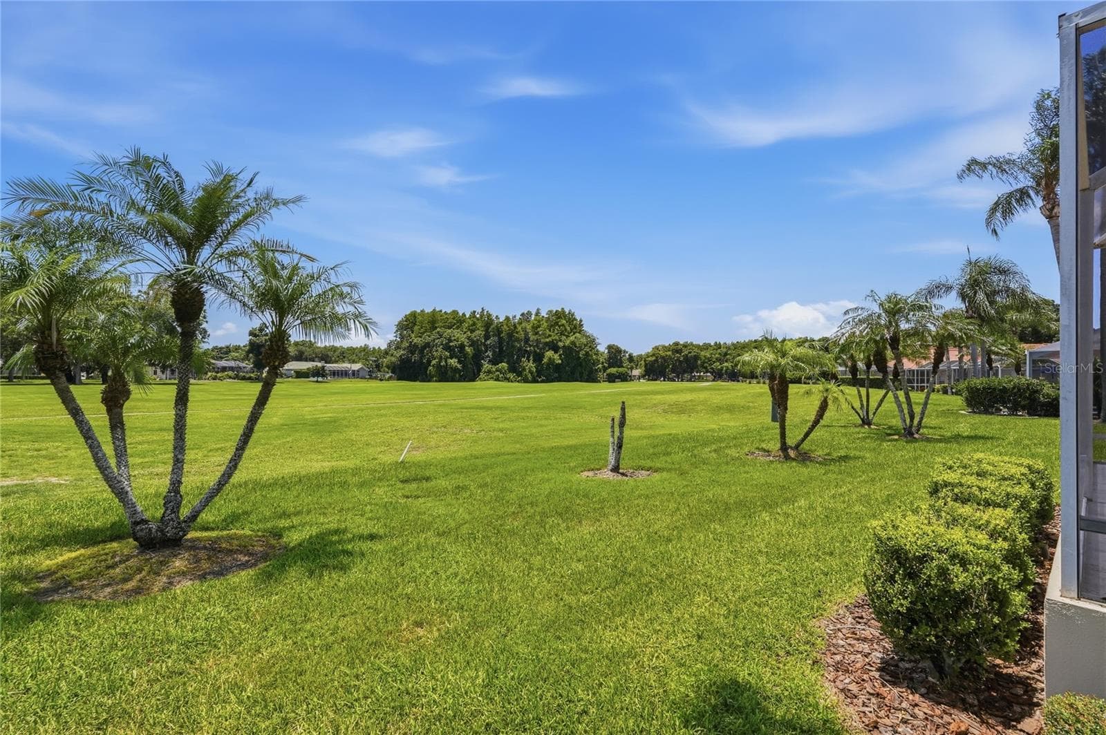 Back Yard Golf Course Bie - 1063 DARTFORD DR, TARPON SPRINGS