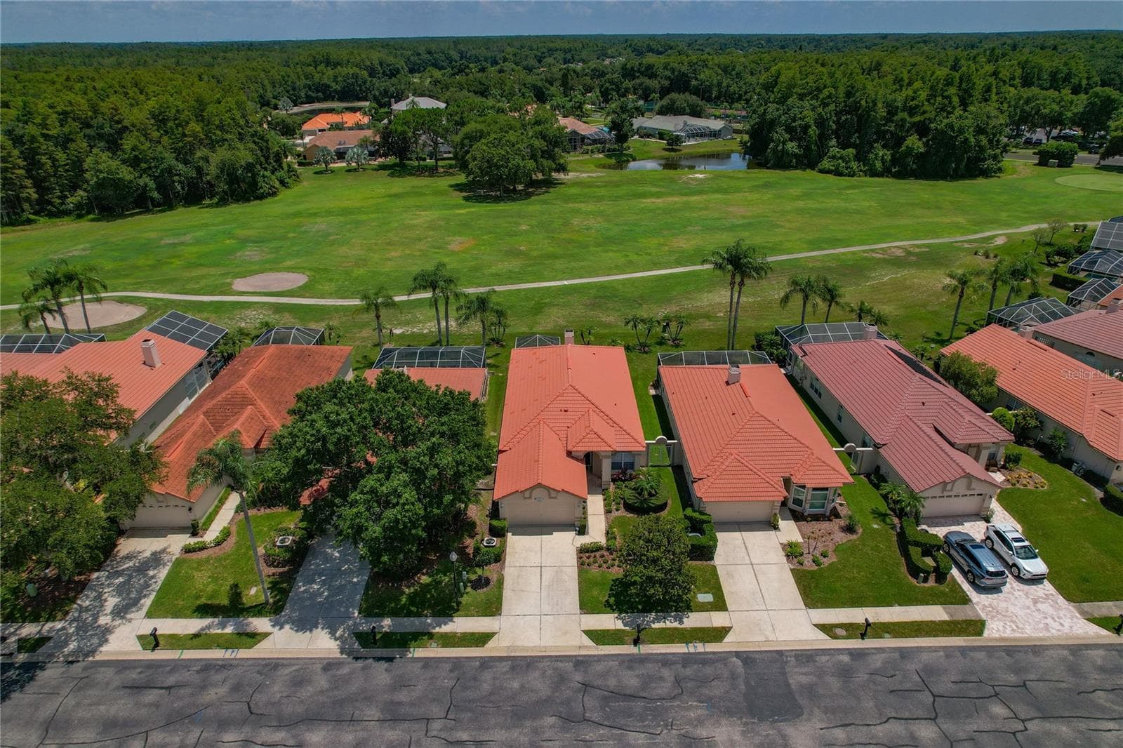 Aerial View of Home / Golf Course - 1063 DARTFORD DR, TARPON SPRINGS