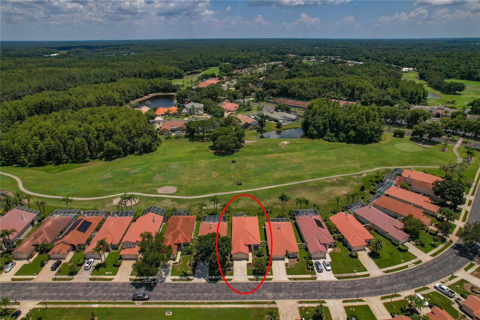 Aerial View of Home / Golf Course - 1063 DARTFORD DR, TARPON SPRINGS