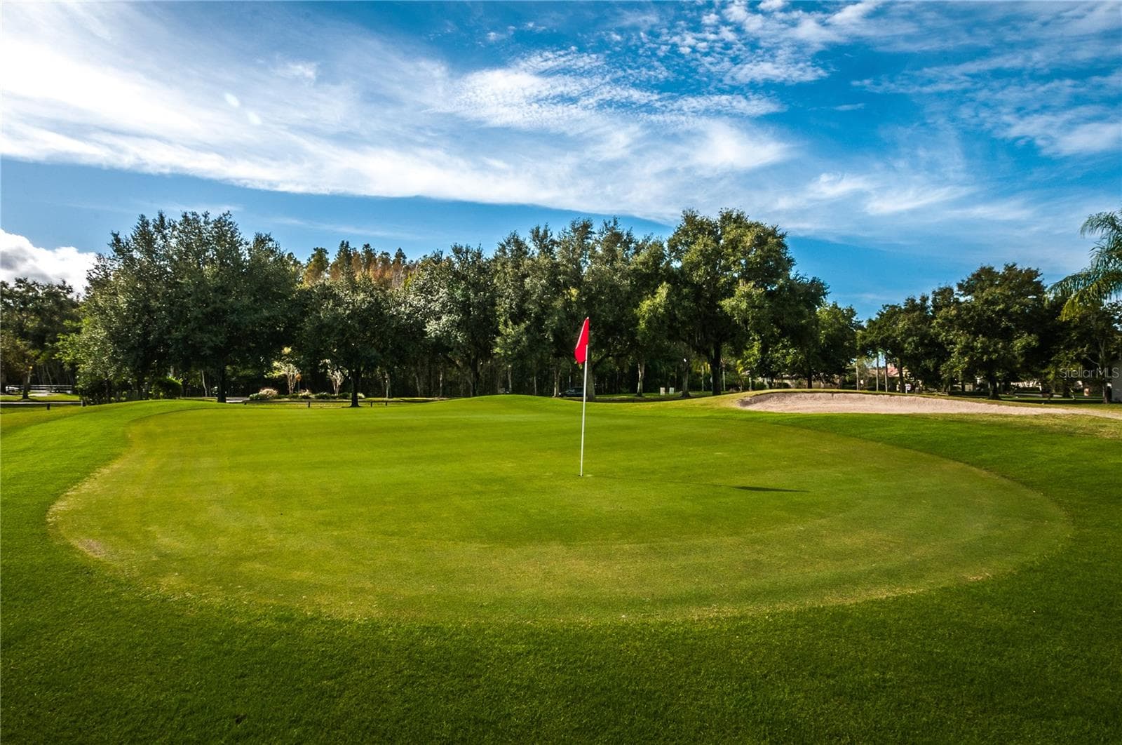 Golf Course - 1063 DARTFORD DR, TARPON SPRINGS