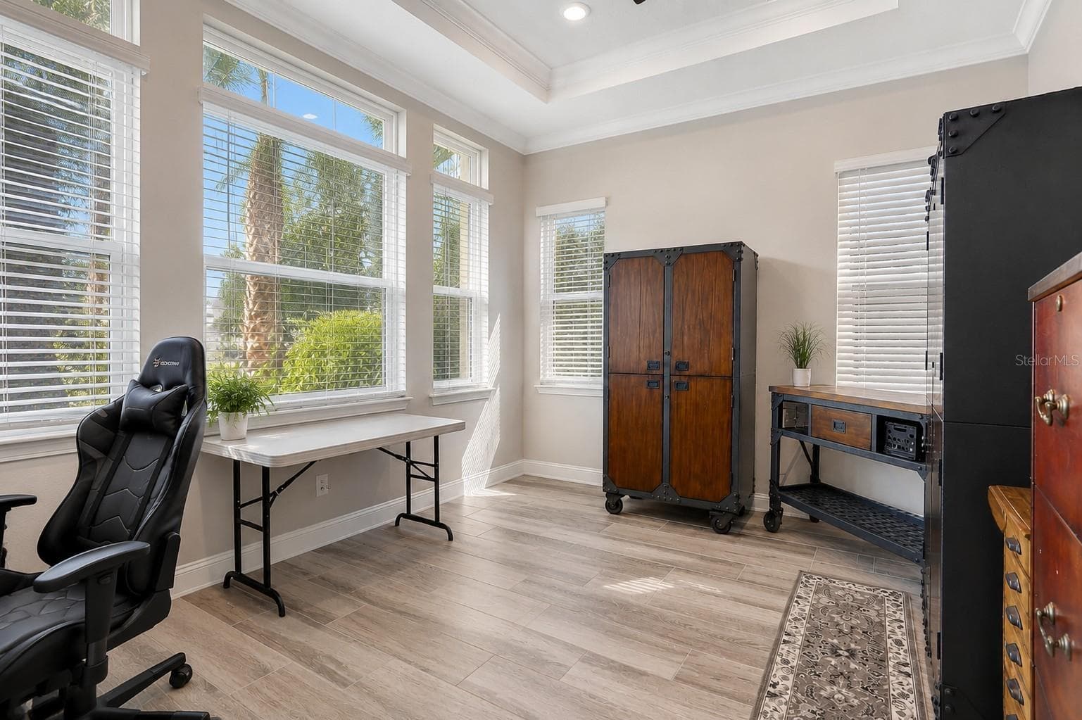 Front Office/Flex Space - 18014 WOODLAND VIEW DR, LUTZ