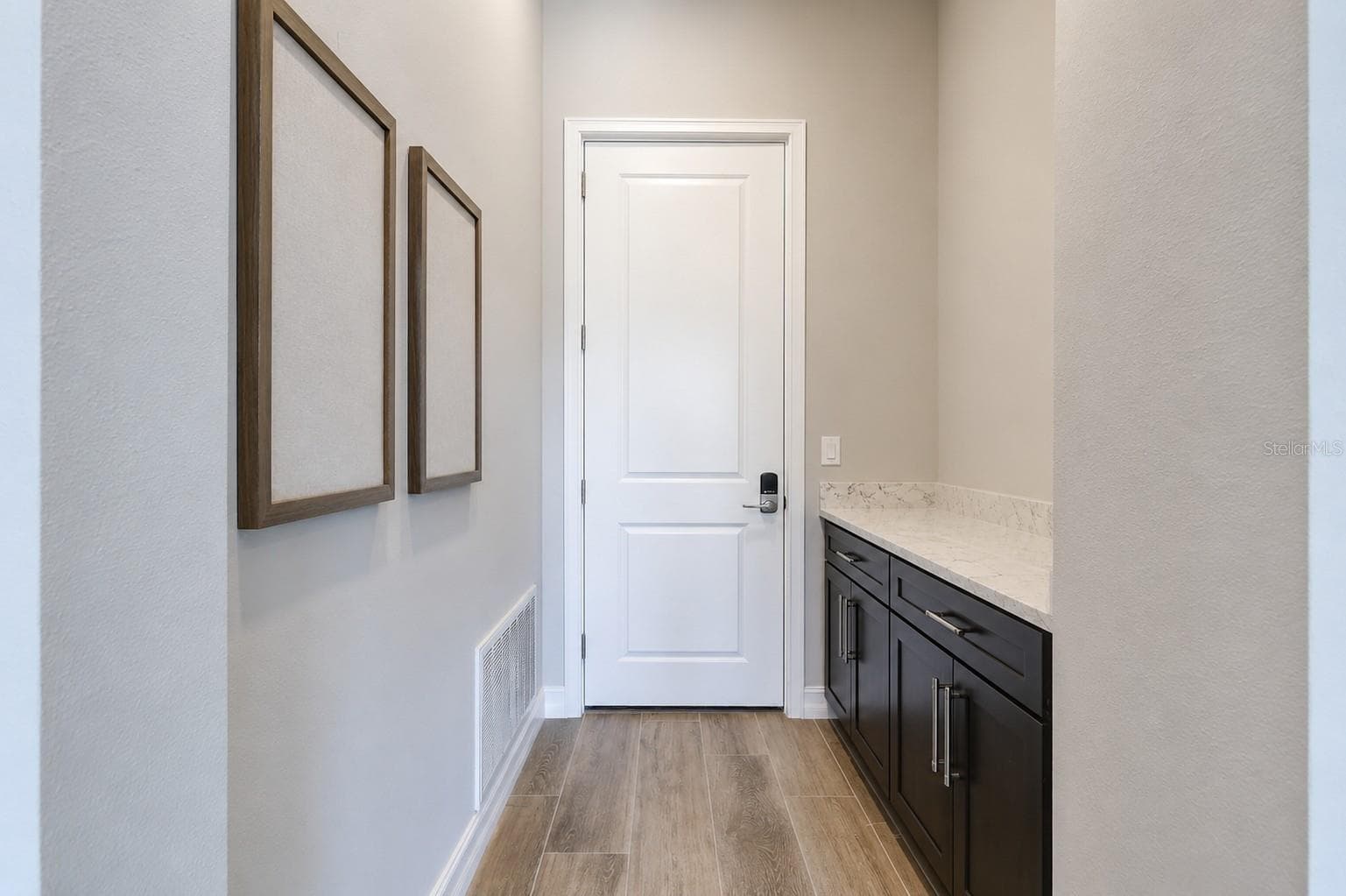 Entry to Garage with Cabinets/Storage - 18014 WOODLAND VIEW DR, LUTZ
