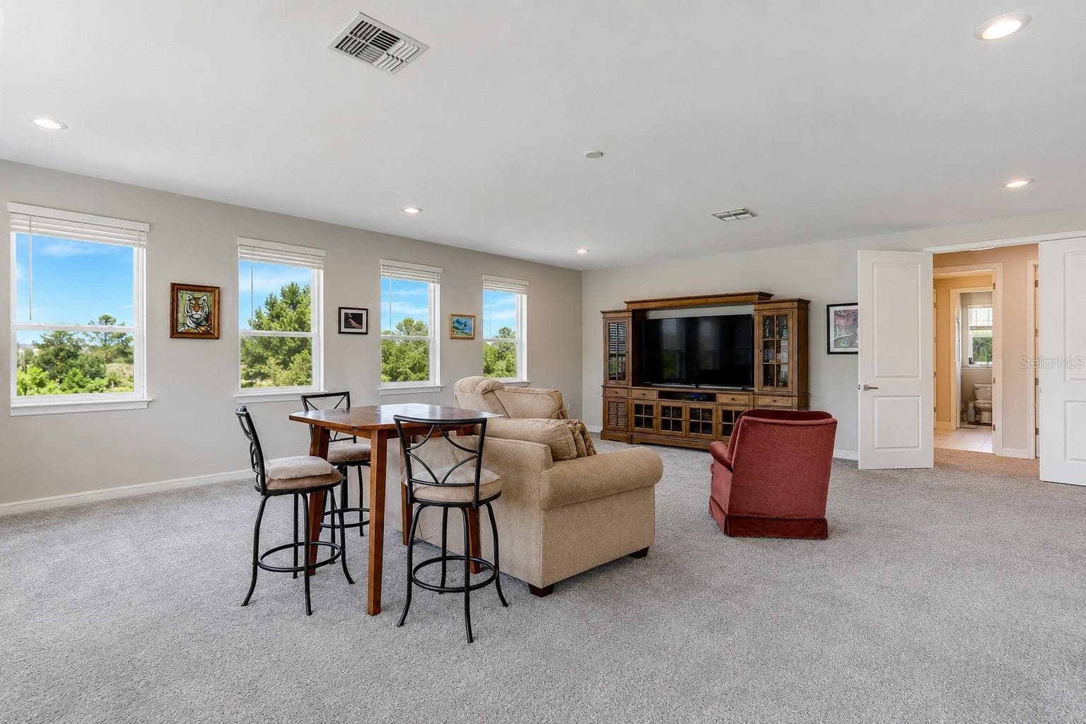 Game Room - 18014 WOODLAND VIEW DR, LUTZ