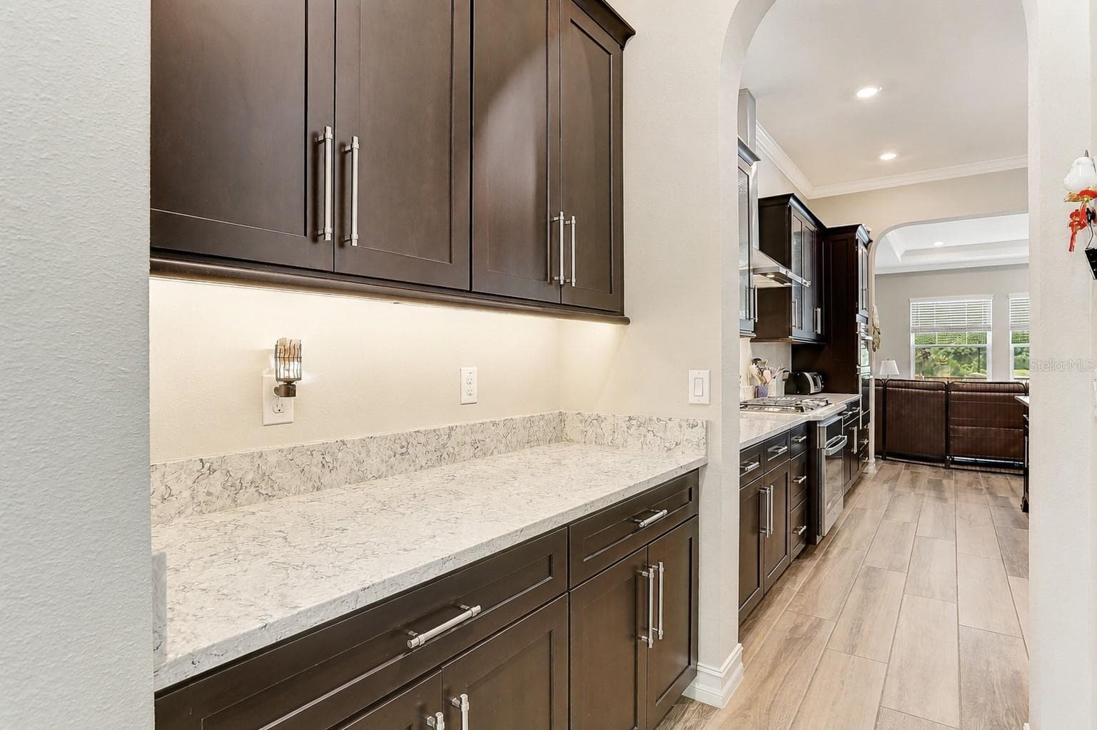 Butler Pantry - 18014 WOODLAND VIEW DR, LUTZ