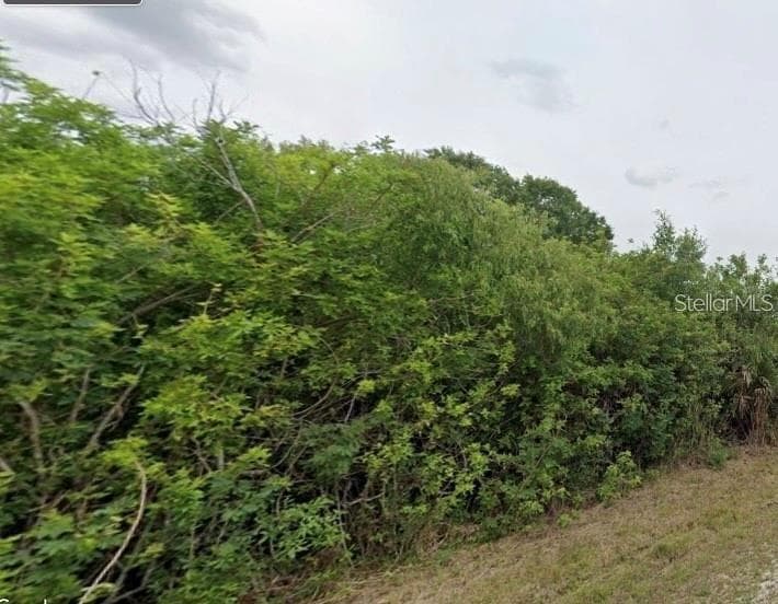 shrubs - 20319 BENTON AVE, PORT CHARLOTTE