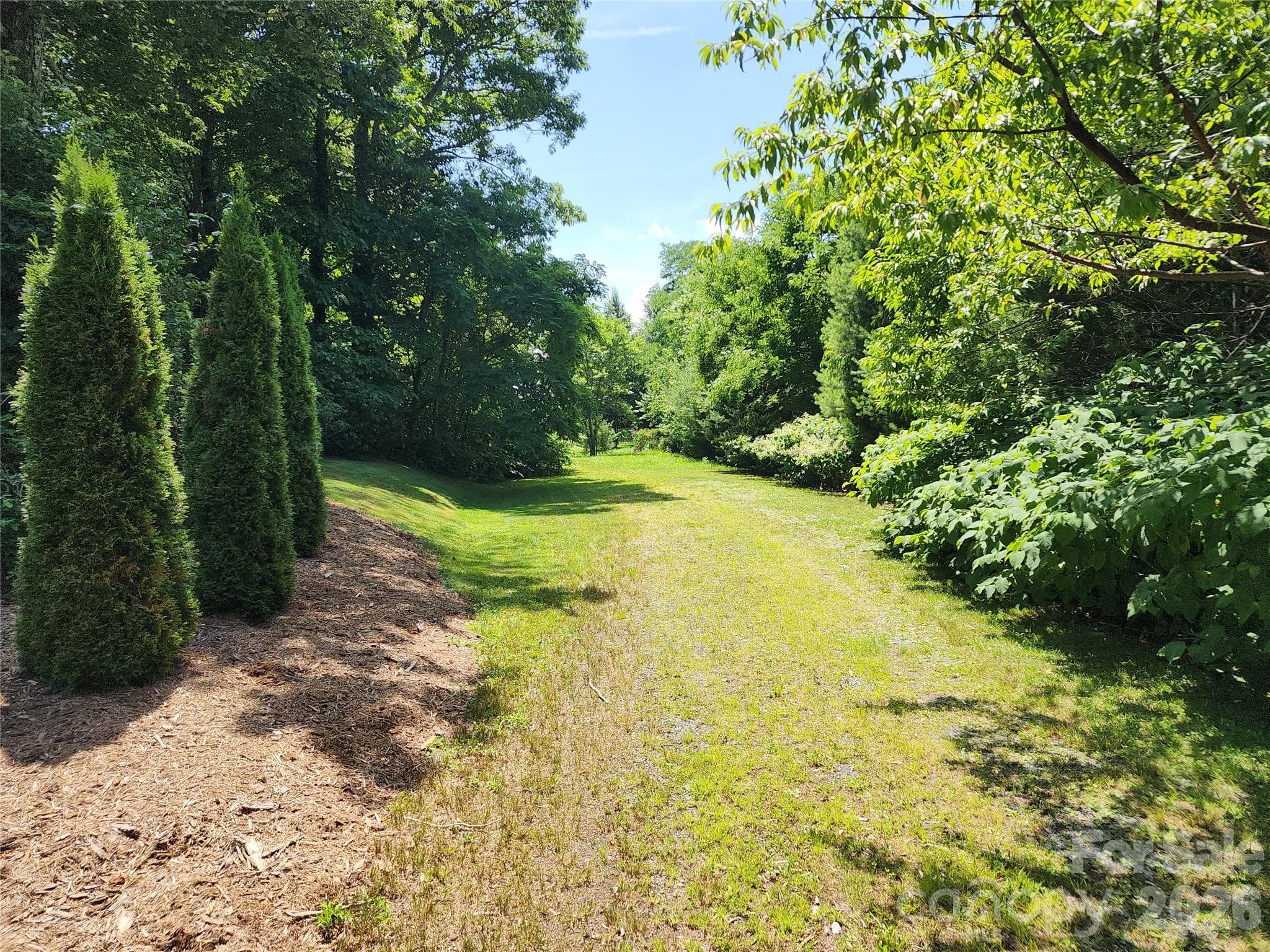 00 Chestnut Drive