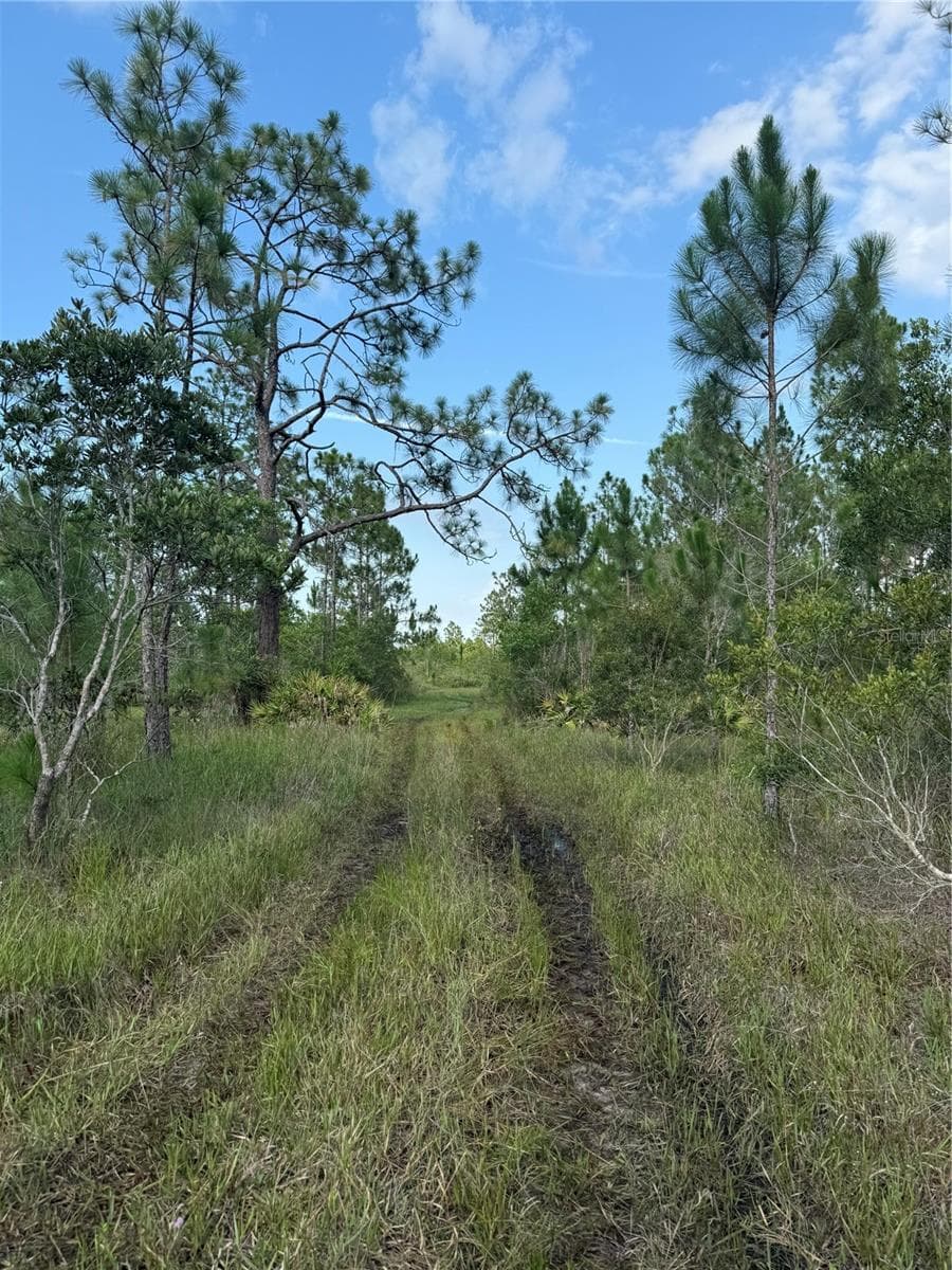Grass trail within the recreational area - HOLOPAW GROVES RD #Lot 99 & 100, ST CLOUD