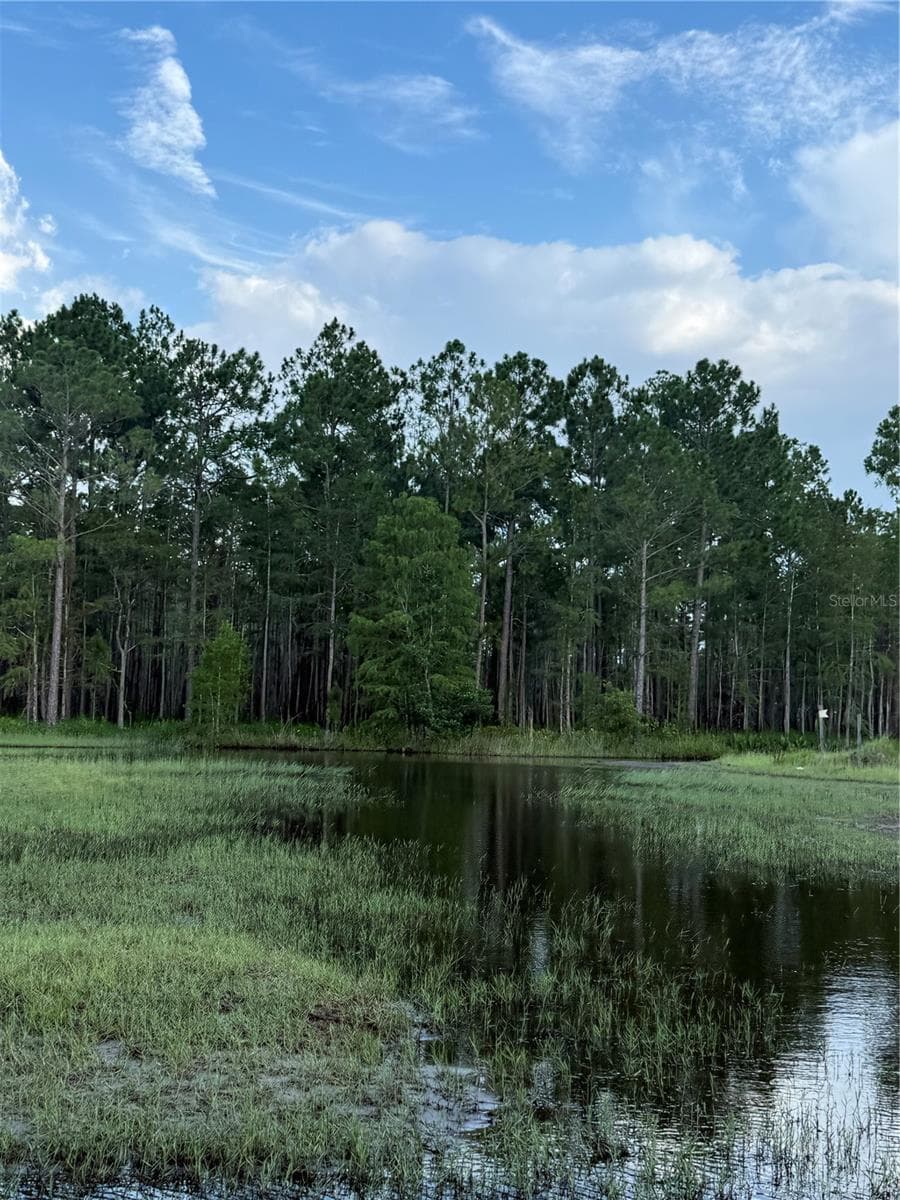 Wetland area - HOLOPAW GROVES RD #Lot 99 & 100, ST CLOUD