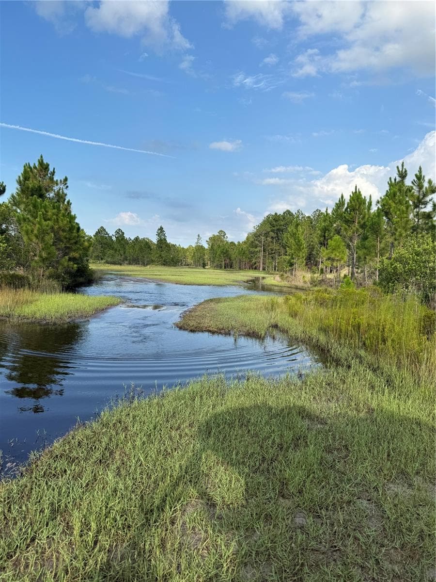 Landscape views within recreational area - HOLOPAW GROVES RD #Lot 99 & 100, ST CLOUD