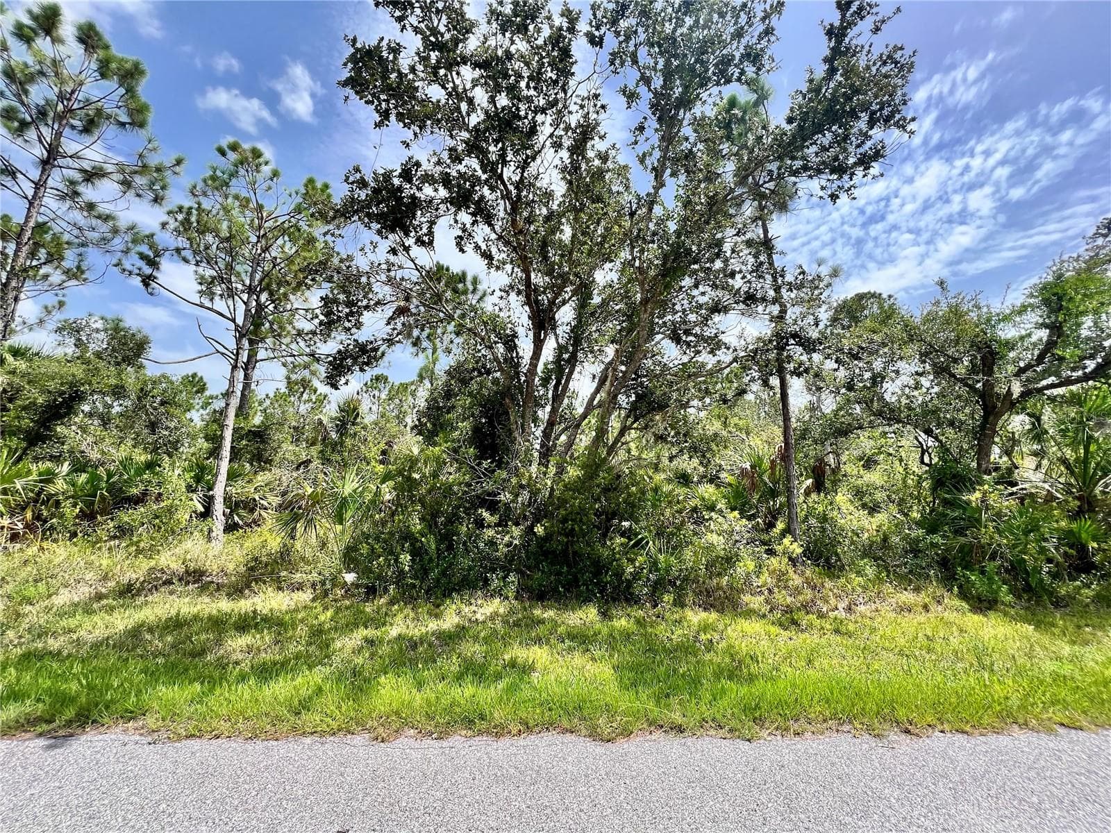 13377 JOHANNES AVE
