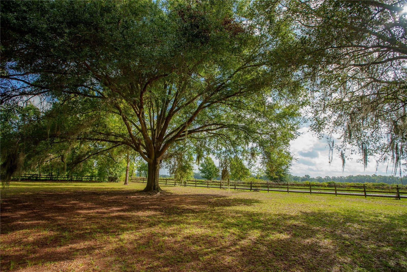 Front Yard - 25518 NW COUNTY ROAD 241, ALACHUA