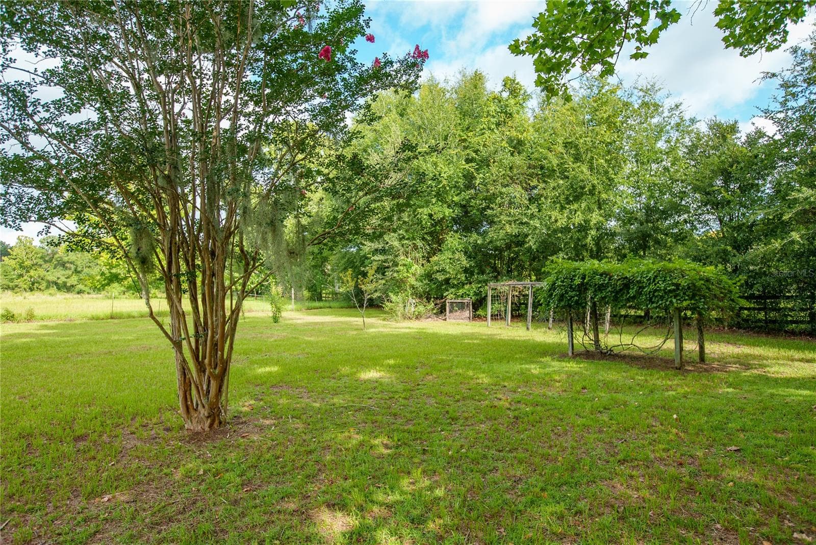 Backyard - 25518 NW COUNTY ROAD 241, ALACHUA