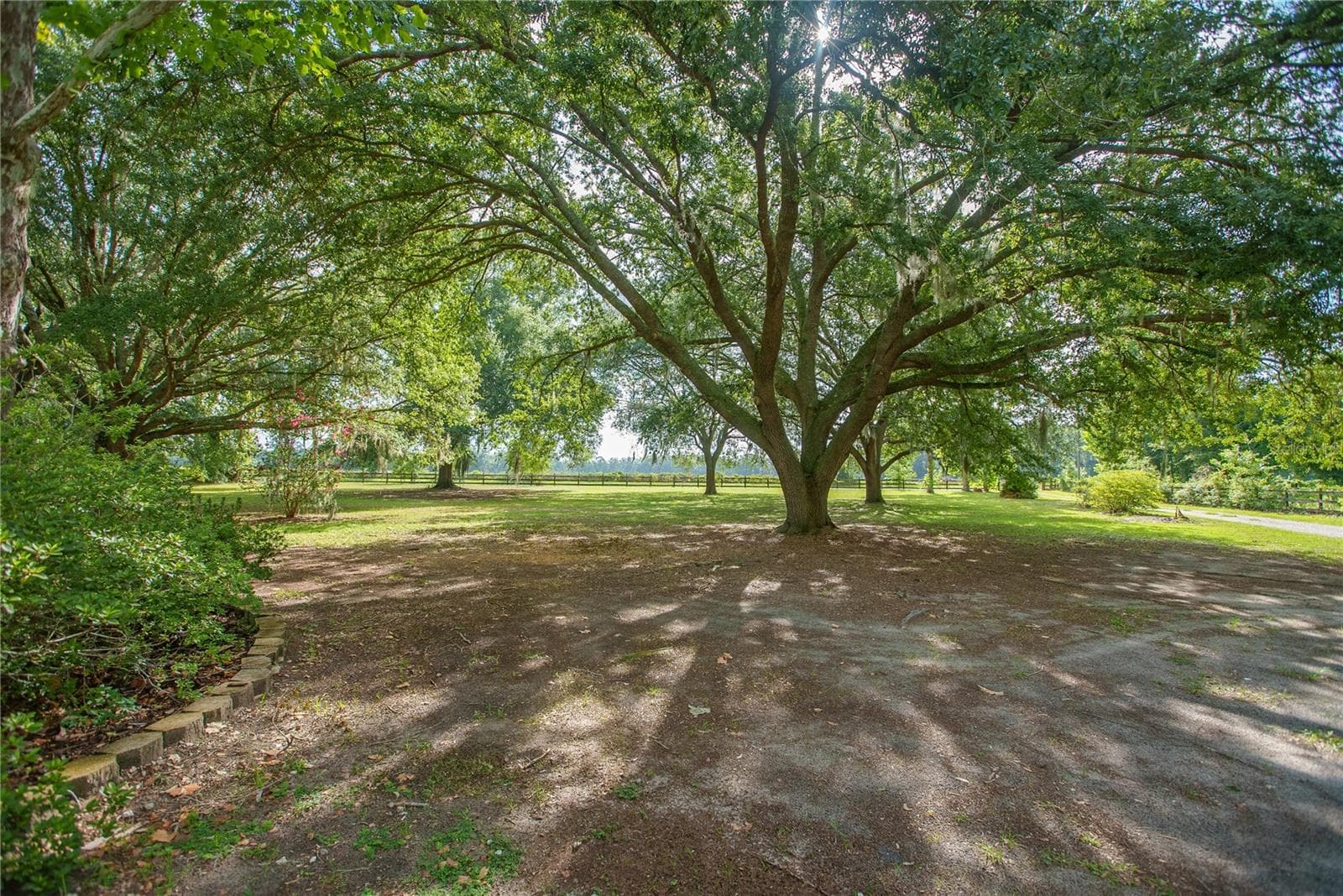 Side View of Front Yard - 25518 NW COUNTY ROAD 241, ALACHUA