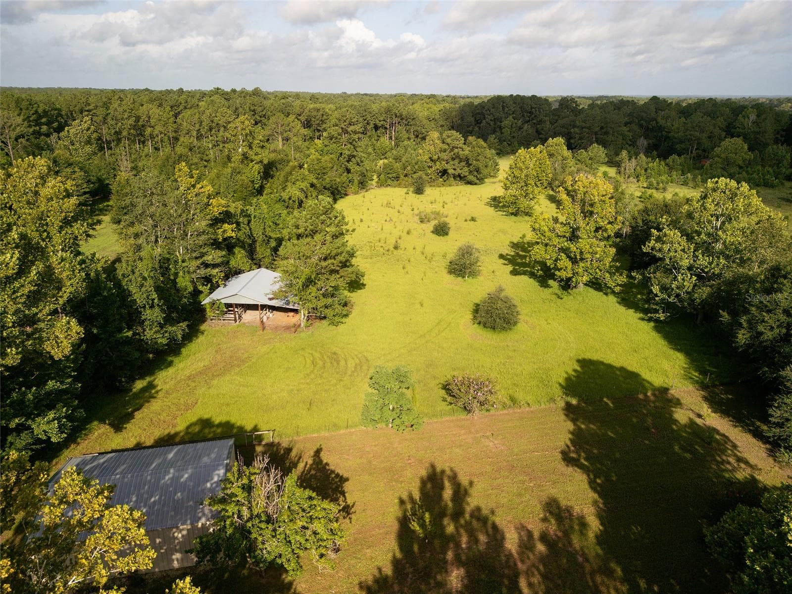 Pasture - 25518 NW COUNTY ROAD 241, ALACHUA