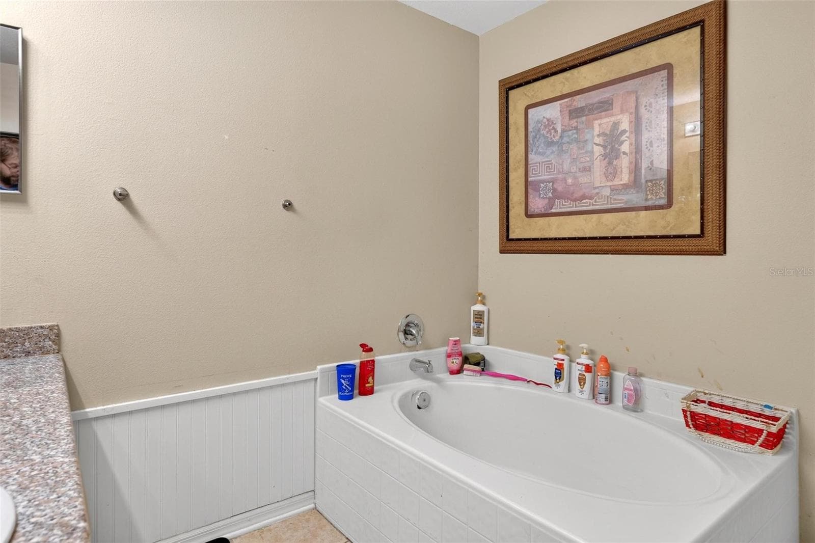 PRIMARY TUB - 600 BRIARCLIFF RD, EUSTIS