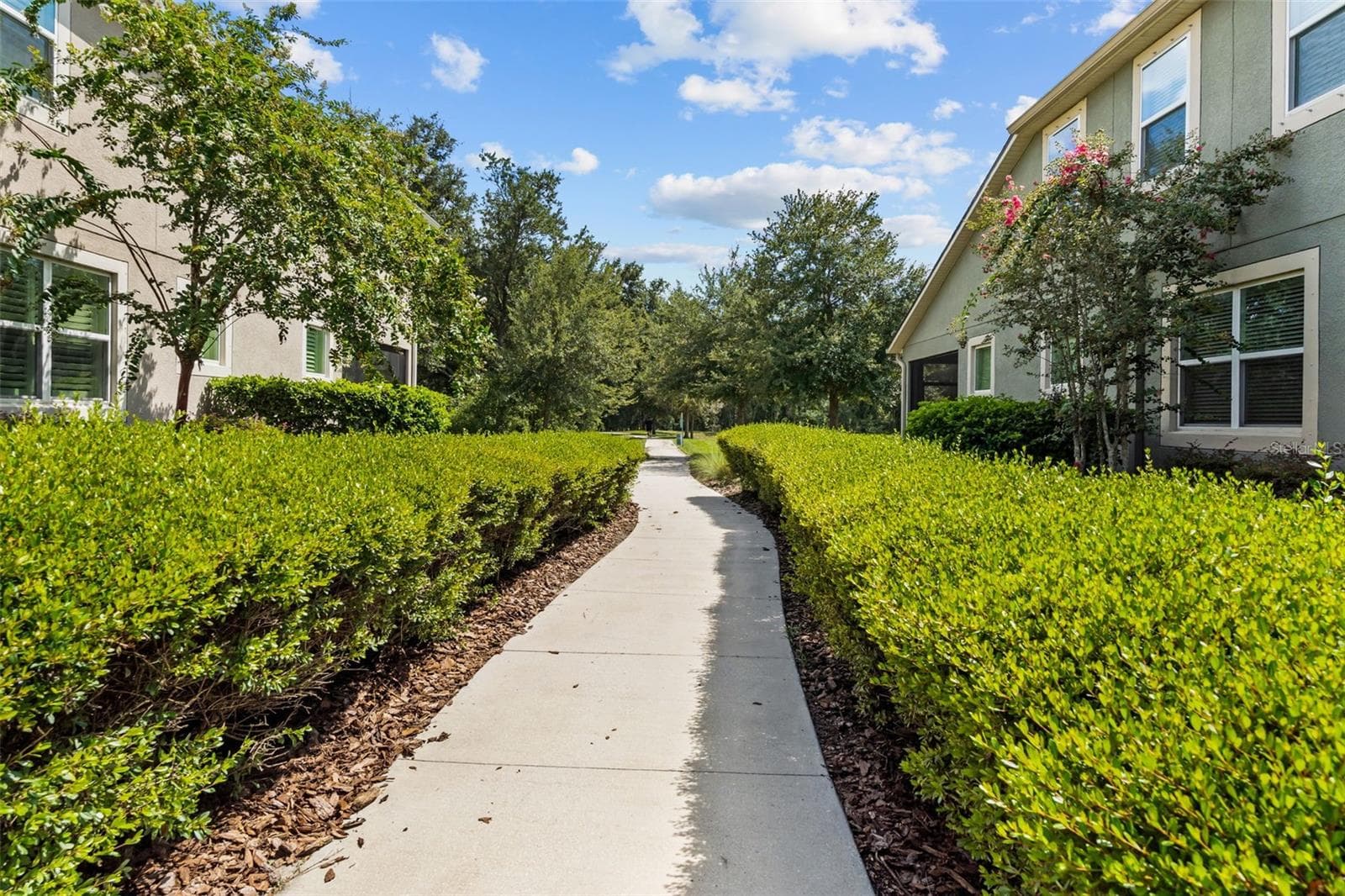 Townhouse at 14221 PONDHAWK LN, TAMPA, photo 50 of 60