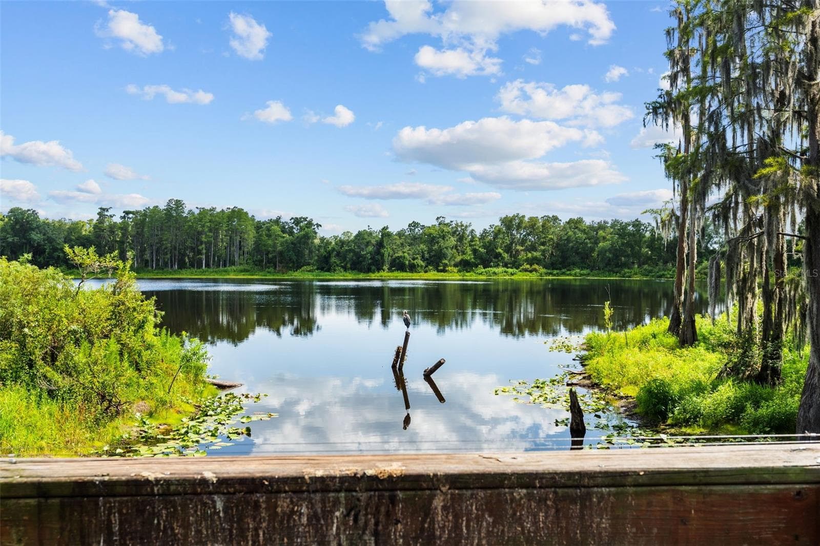 Townhouse at 14221 PONDHAWK LN, TAMPA, photo 56 of 60