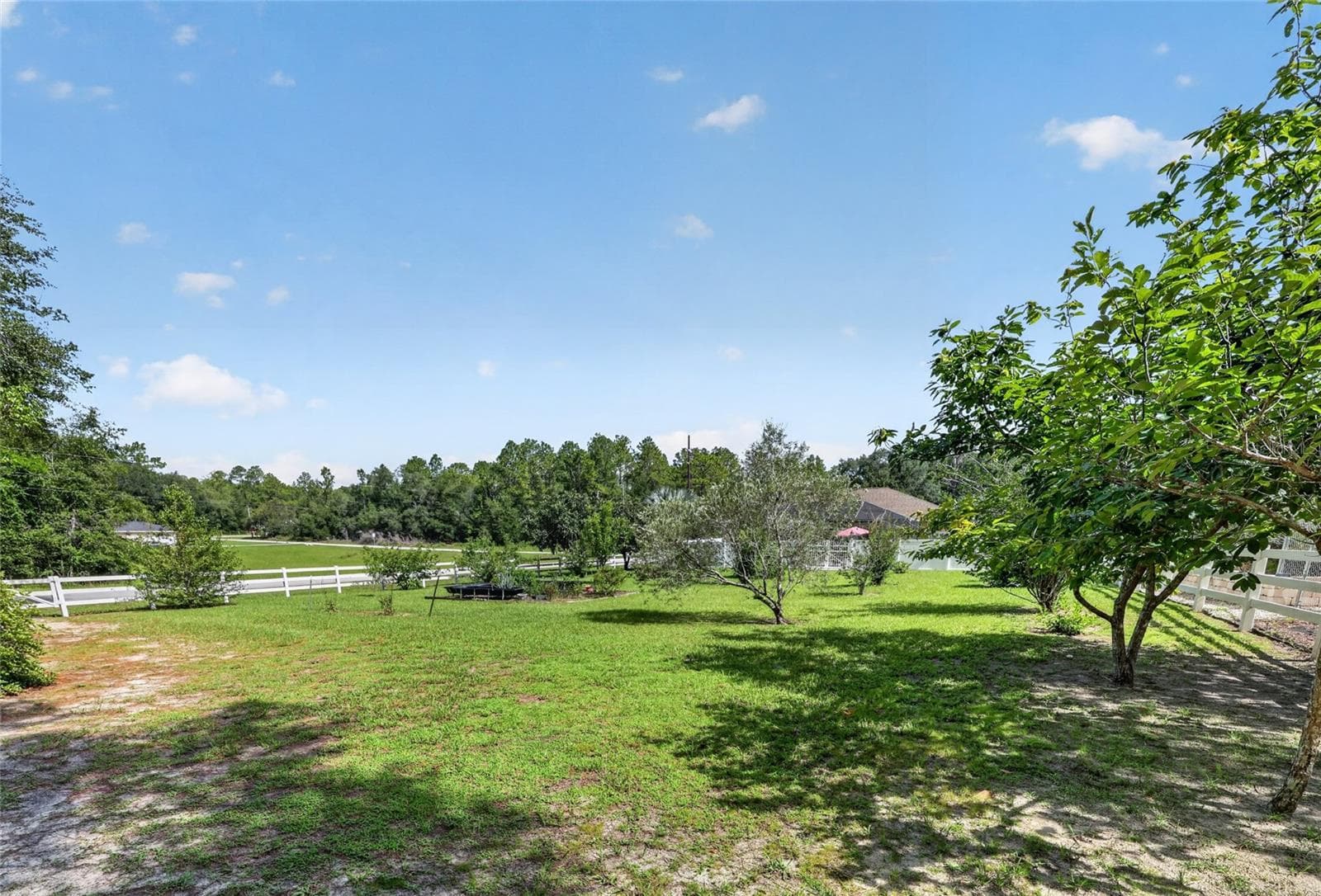 Single Family Residence at 20096 SW 59TH LN, DUNNELLON, photo 5 of 76