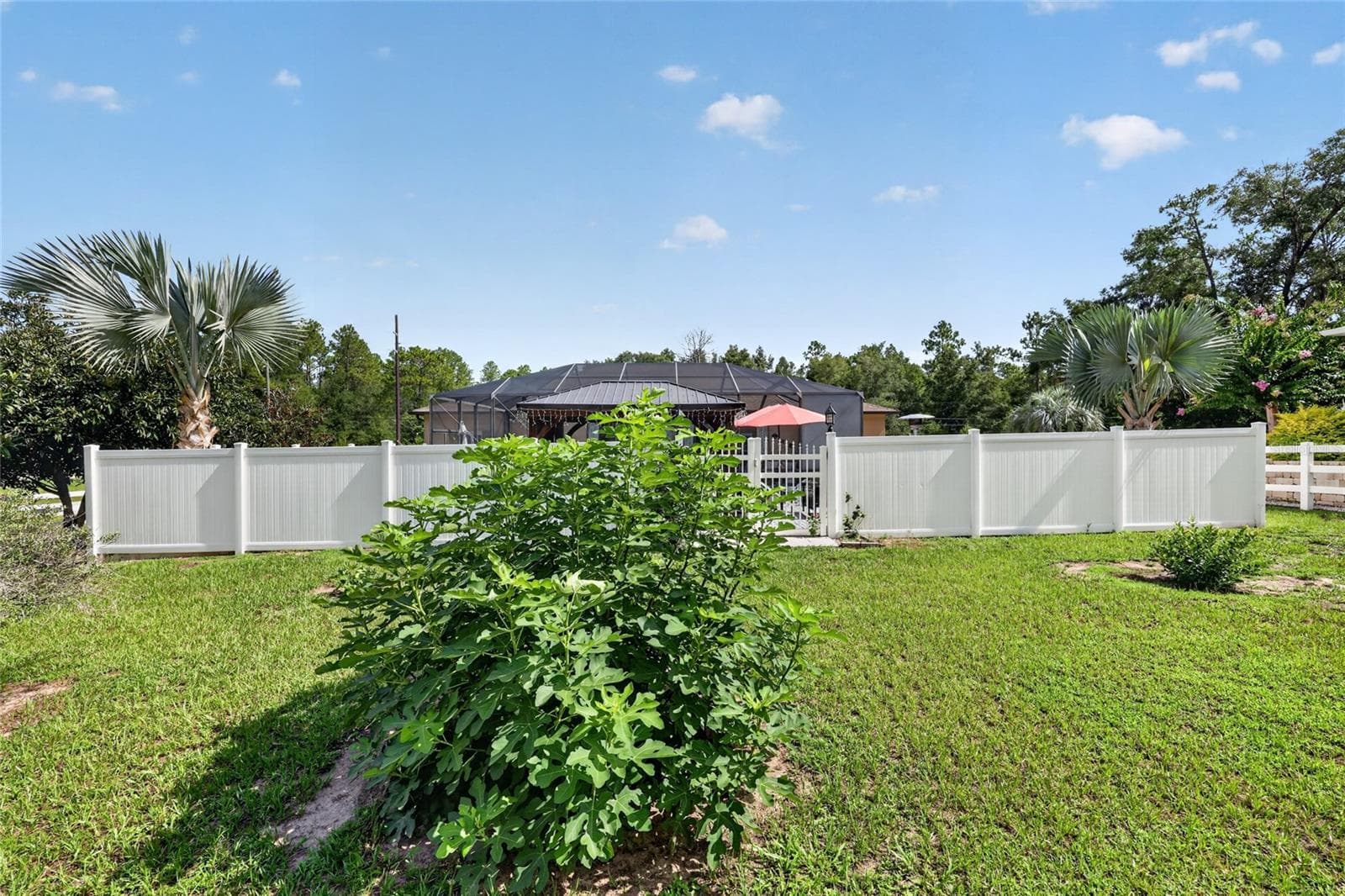 Single Family Residence at 20096 SW 59TH LN, DUNNELLON, photo 58 of 76