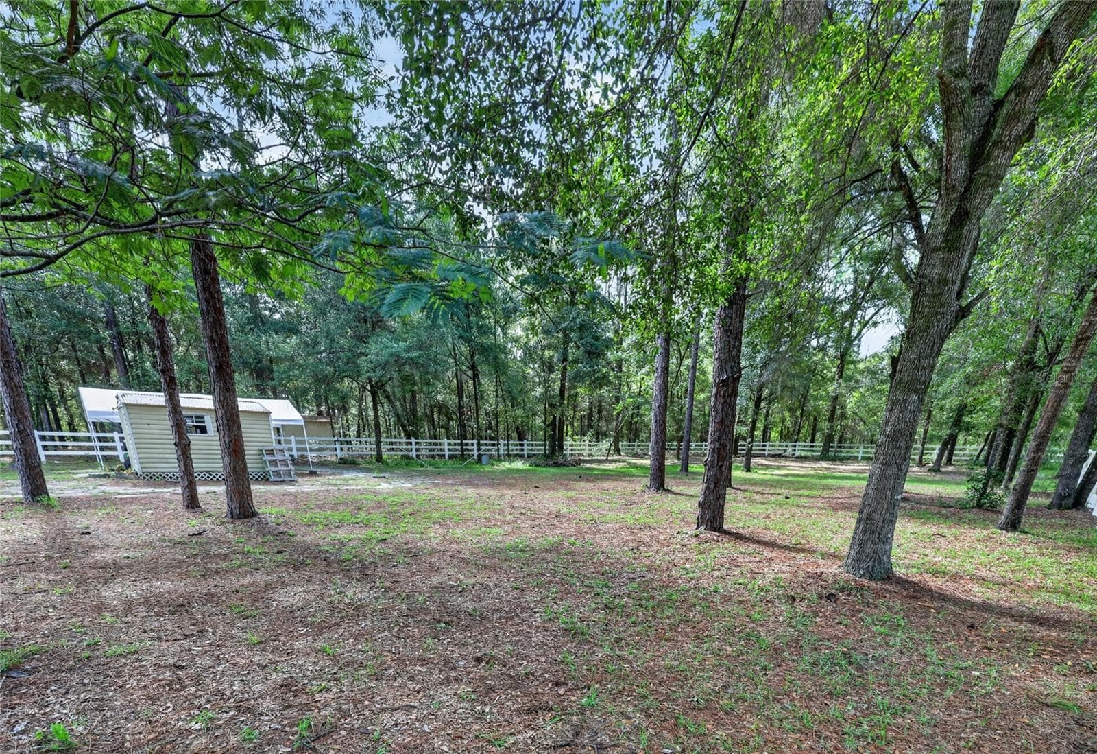 Single Family Residence at 20096 SW 59TH LN, DUNNELLON, photo 62 of 76