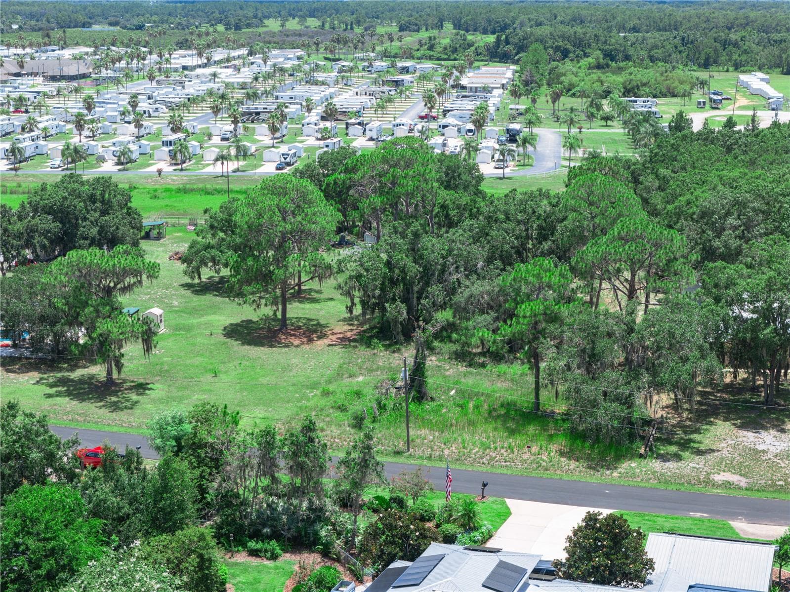 TREES - 735 KEEN RD, FROSTPROOF