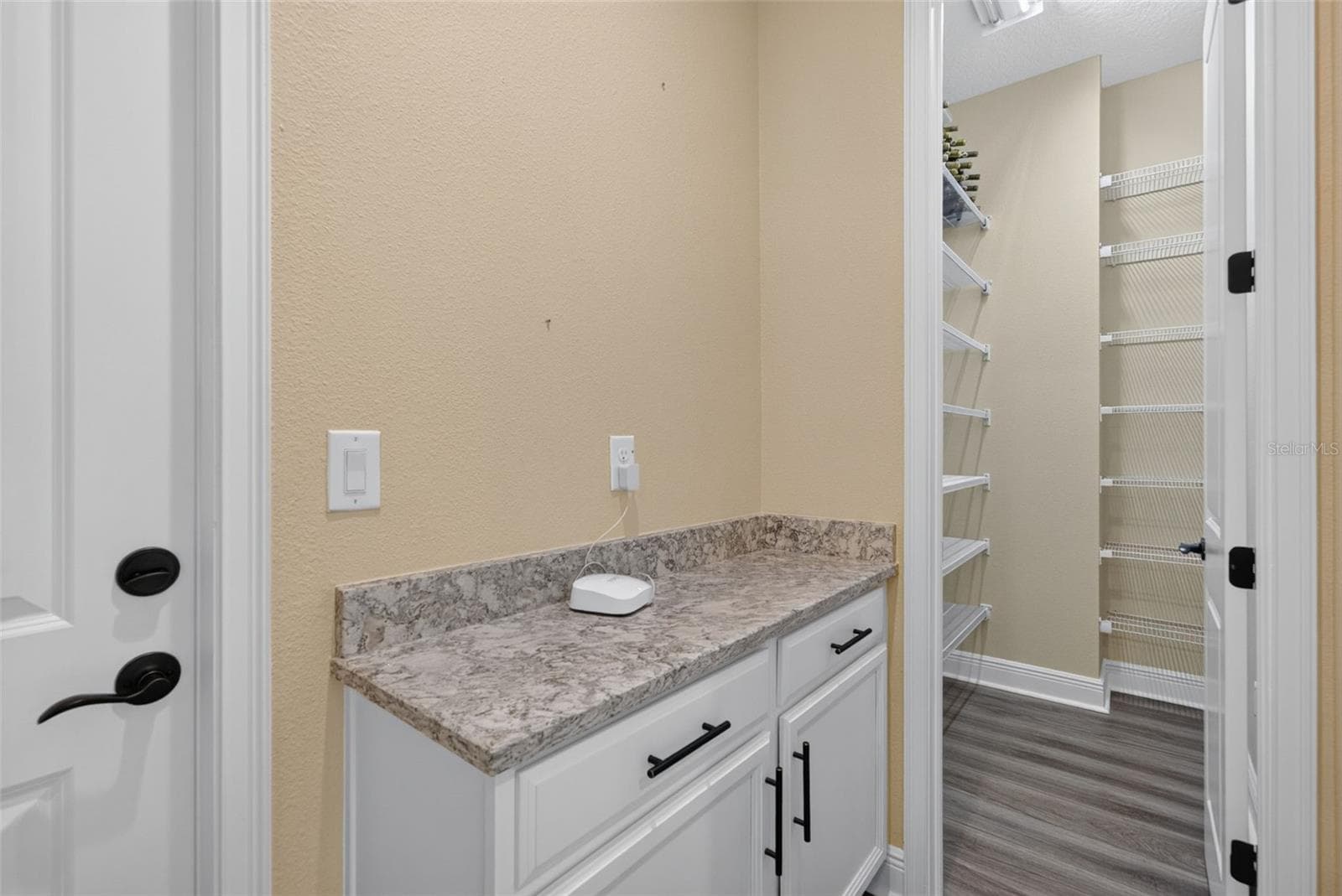 Single Family Residence at 12627 WHEATGRASS CT, PARRISH, photo 11 of 43