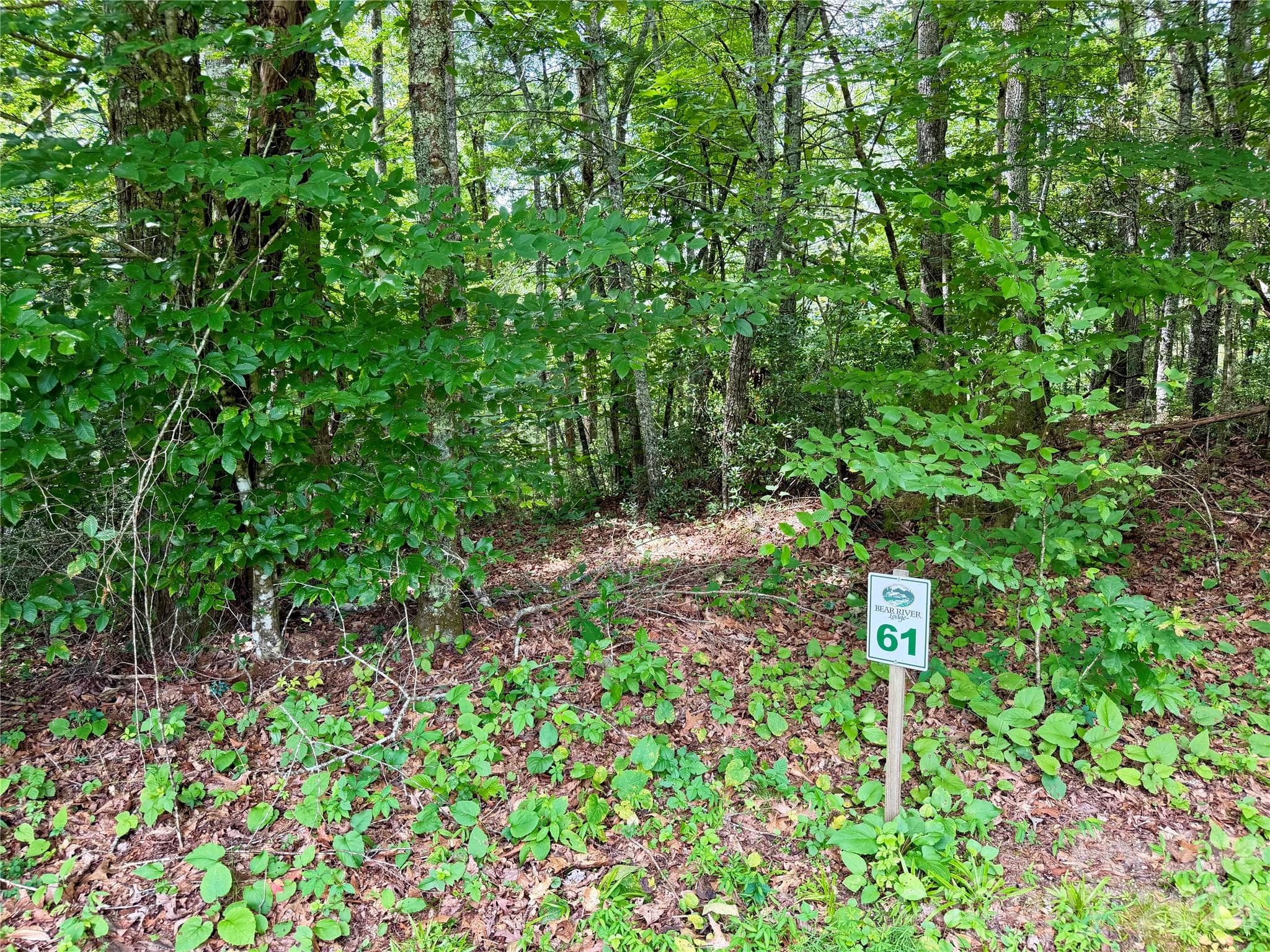 Lot at 1156 Bear River Lodge Trail, Marshall, photo 7 of 48