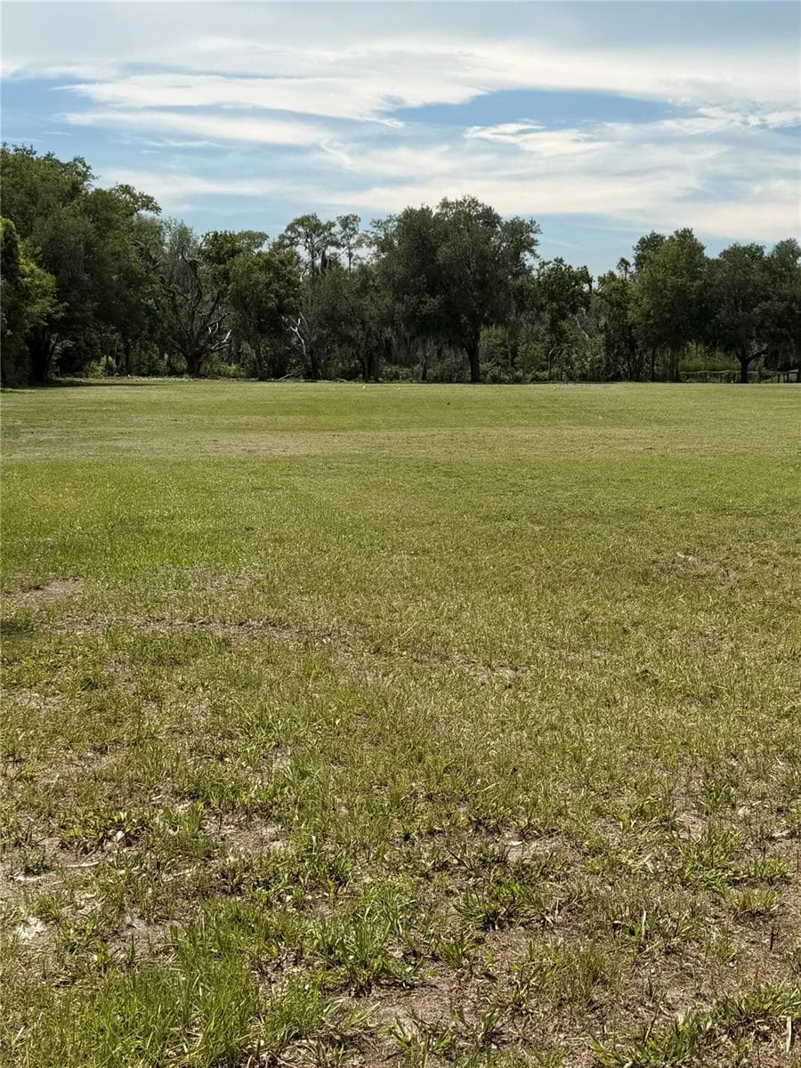 Land at BELLAMY BROTHERS BLVD, DADE CITY, photo 4 of 46