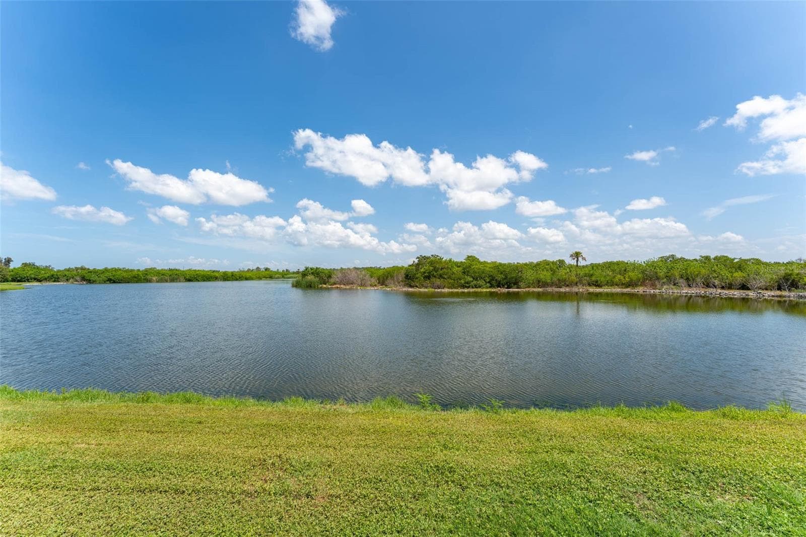 Single Family Residence at 3719 LIVELY CORAL PL, BRADENTON, photo 52 of 63