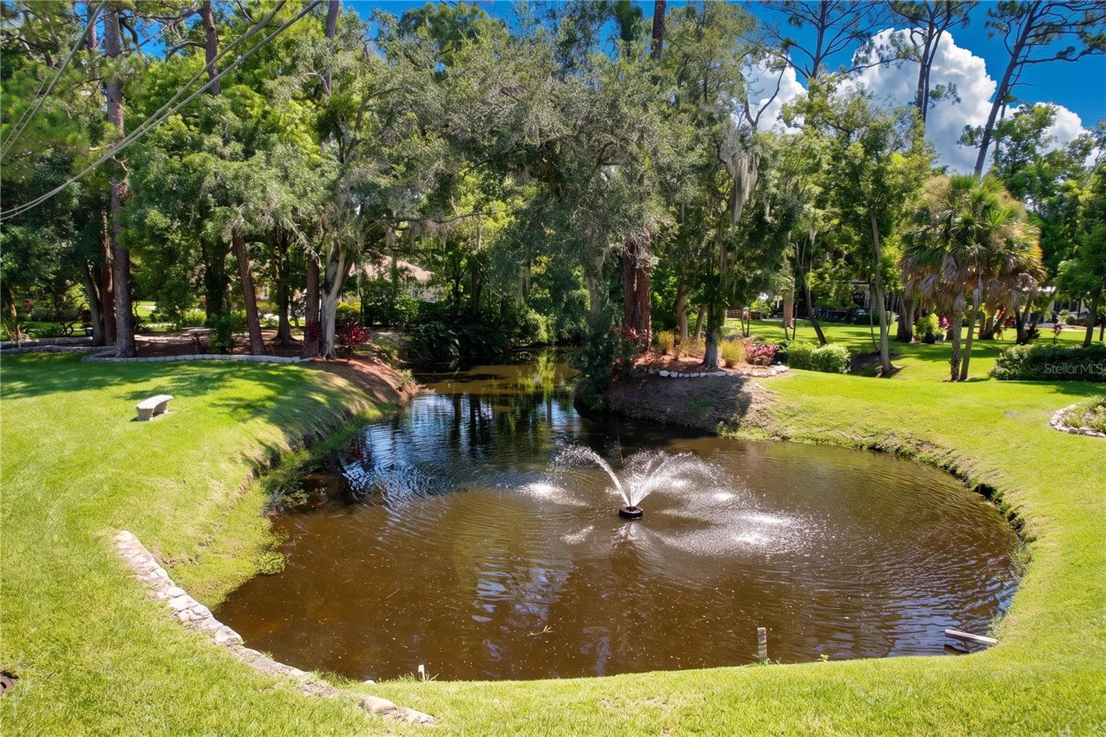 Single Family Residence at 1653 SUNNYBROOK LN, CLEARWATER, photo 15 of 100