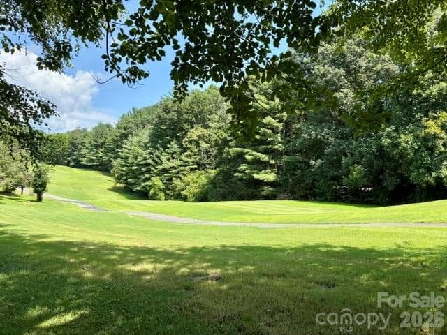 View of the 13th Tee Box & fairway from the back yard - Hendersonville