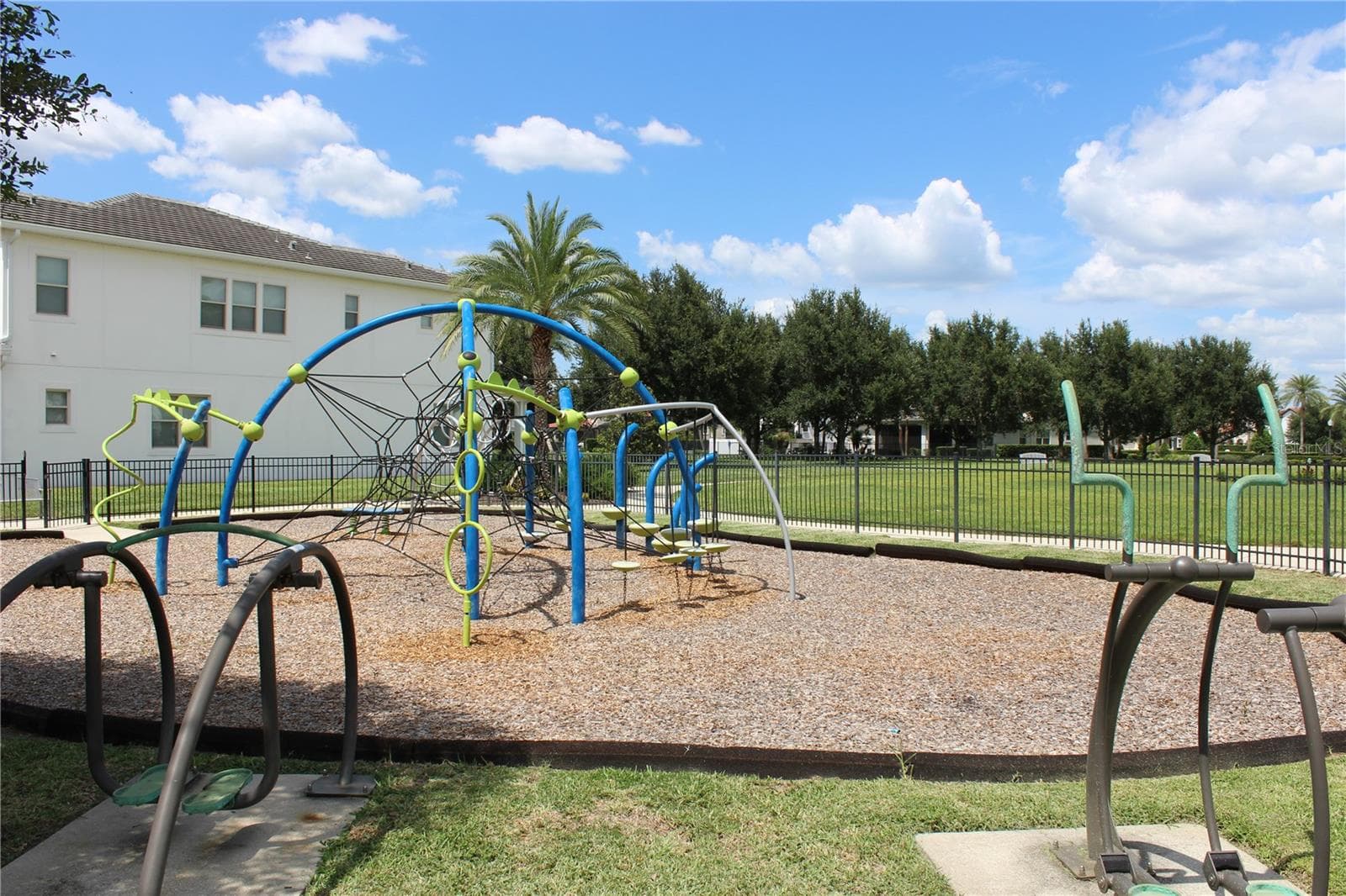 Another playground - 8932 BISMARCK PALM DR, WINTER GARDEN