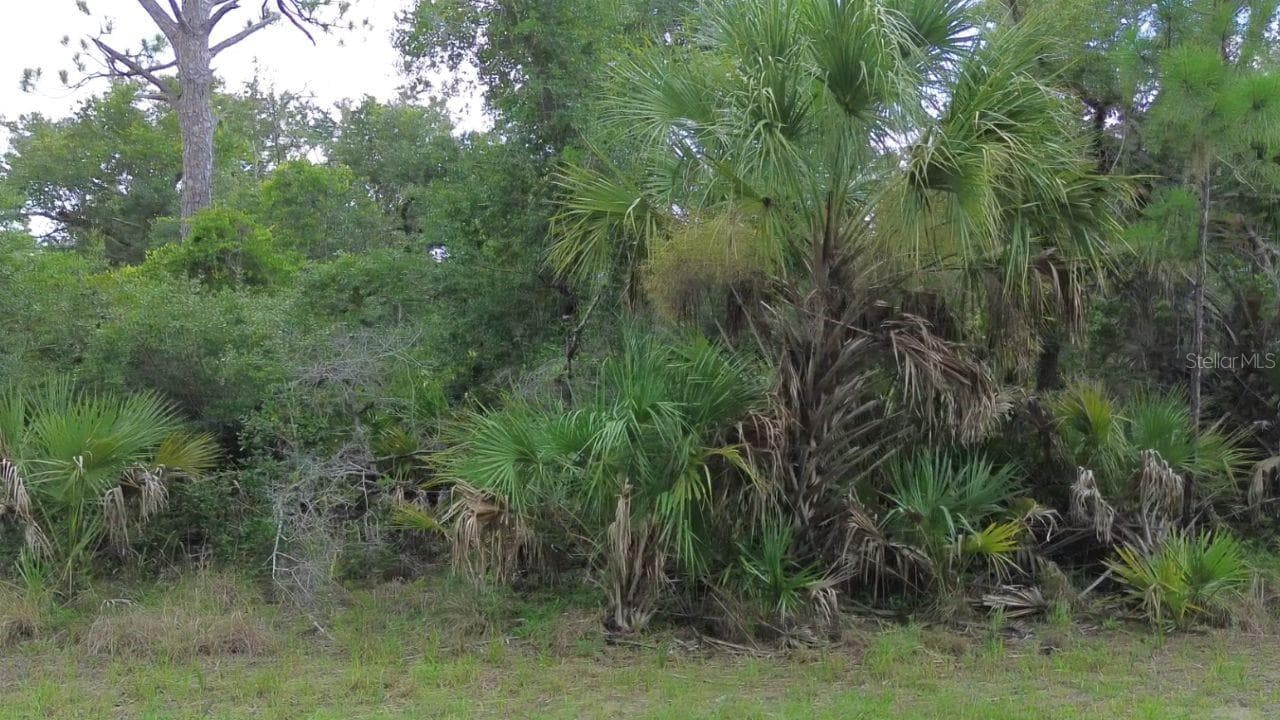 Land at 1388 CLEARVIEW DR, PORT CHARLOTTE, photo 7 of 9