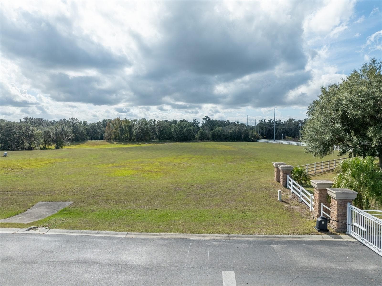 road view of the front of the lot - 103 ALAFIA ESTATES LN, PLANT CITY