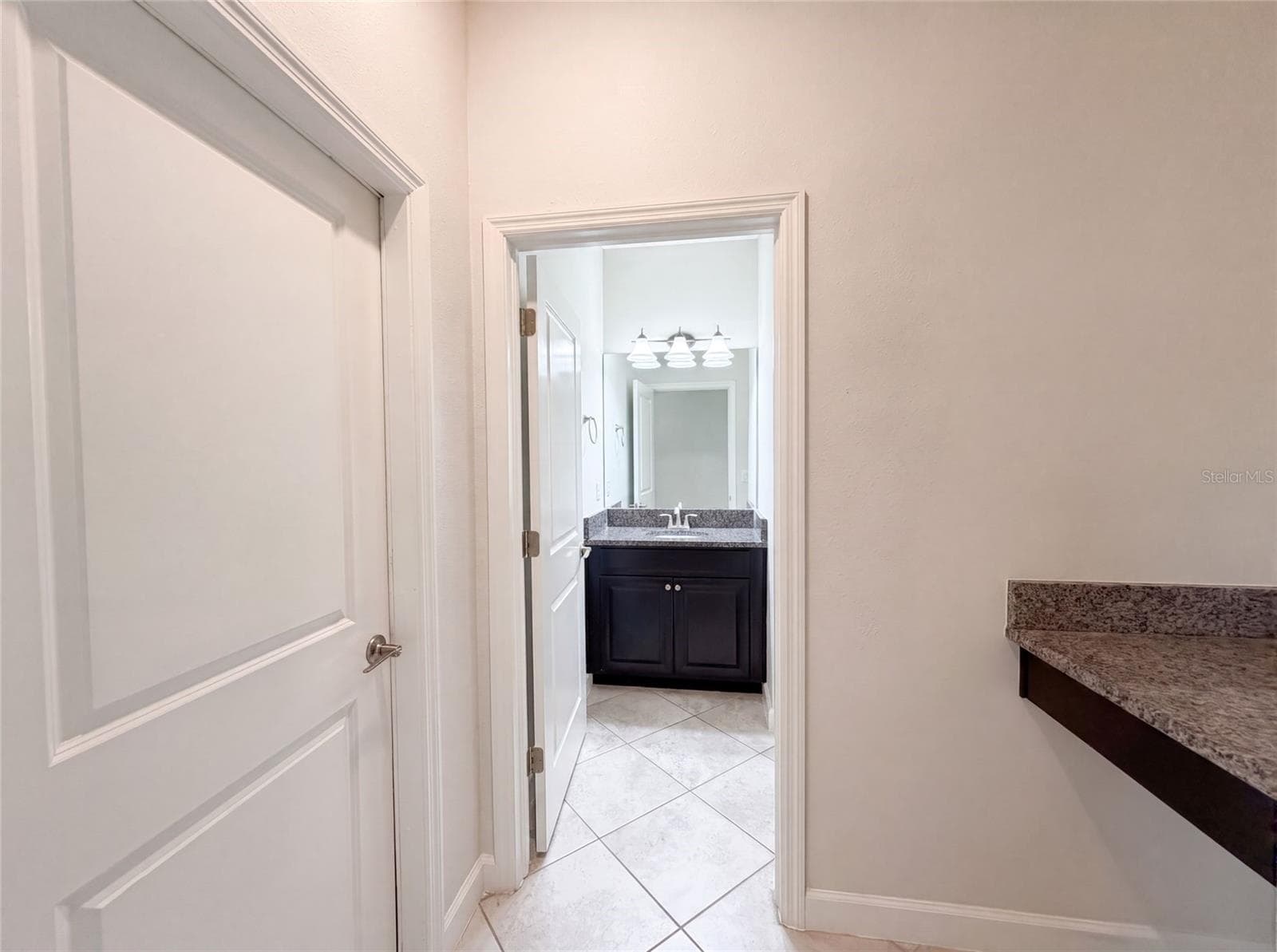 Single Family Residence at 9709 IVORY DR, RUSKIN, photo 19 of 34