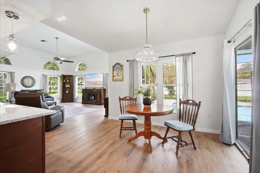Single Family Residence at 483 LINCOLN AVE, MASARYKTOWN, photo 10 of 41