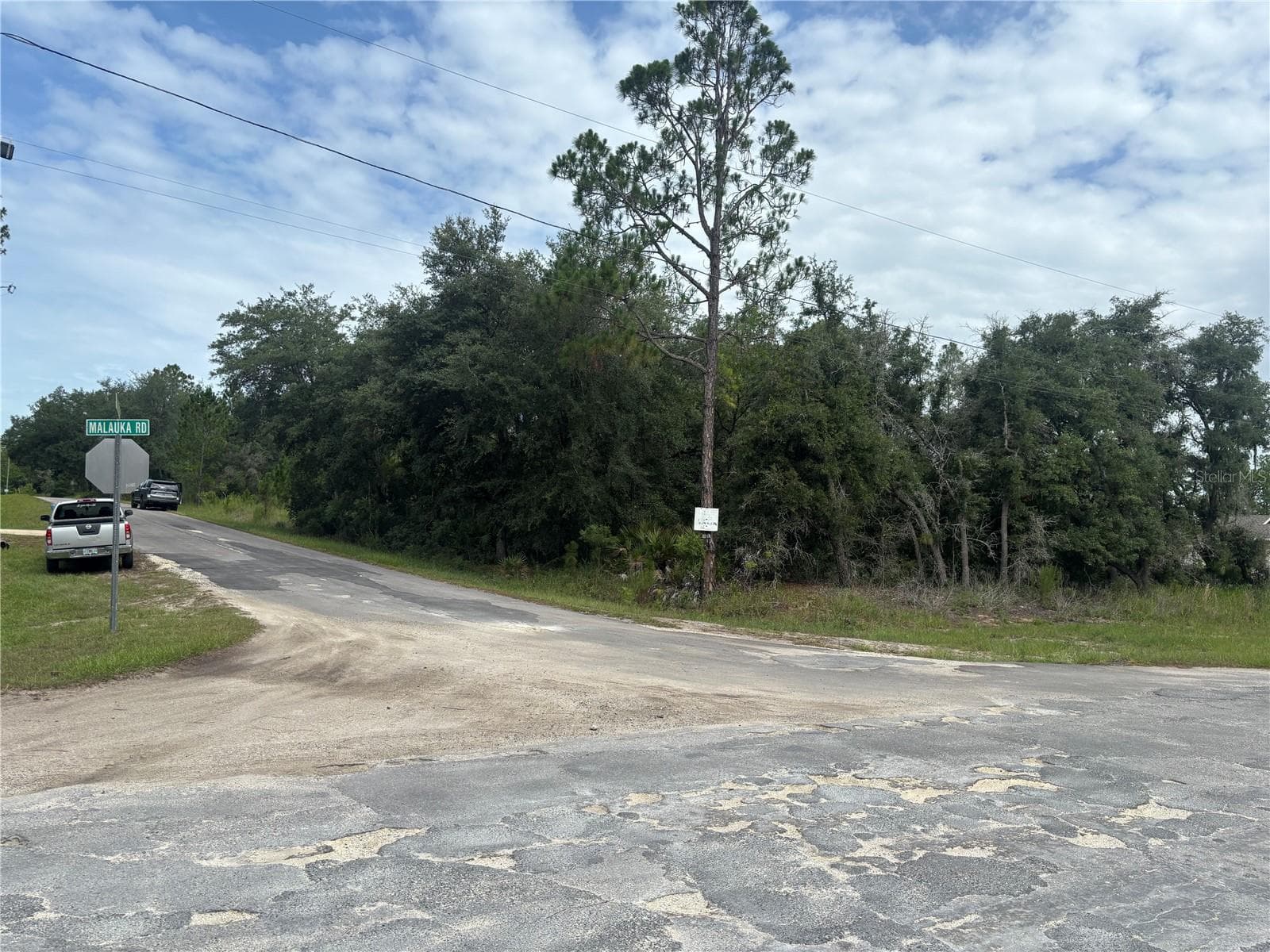 Land at 0000 MALAUKA PL, OCKLAWAHA, photo 2 of 3