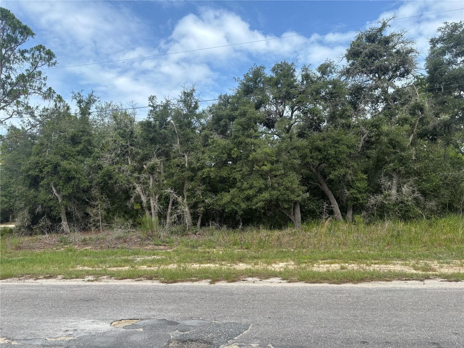 Land at 0000 MALAUKA PL, OCKLAWAHA, photo 3 of 3
