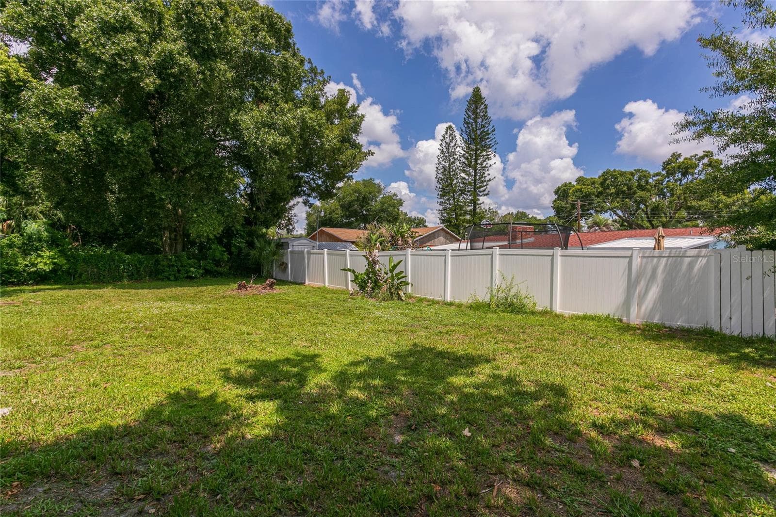 Backyard - 6518 WALTON WAY, TAMPA