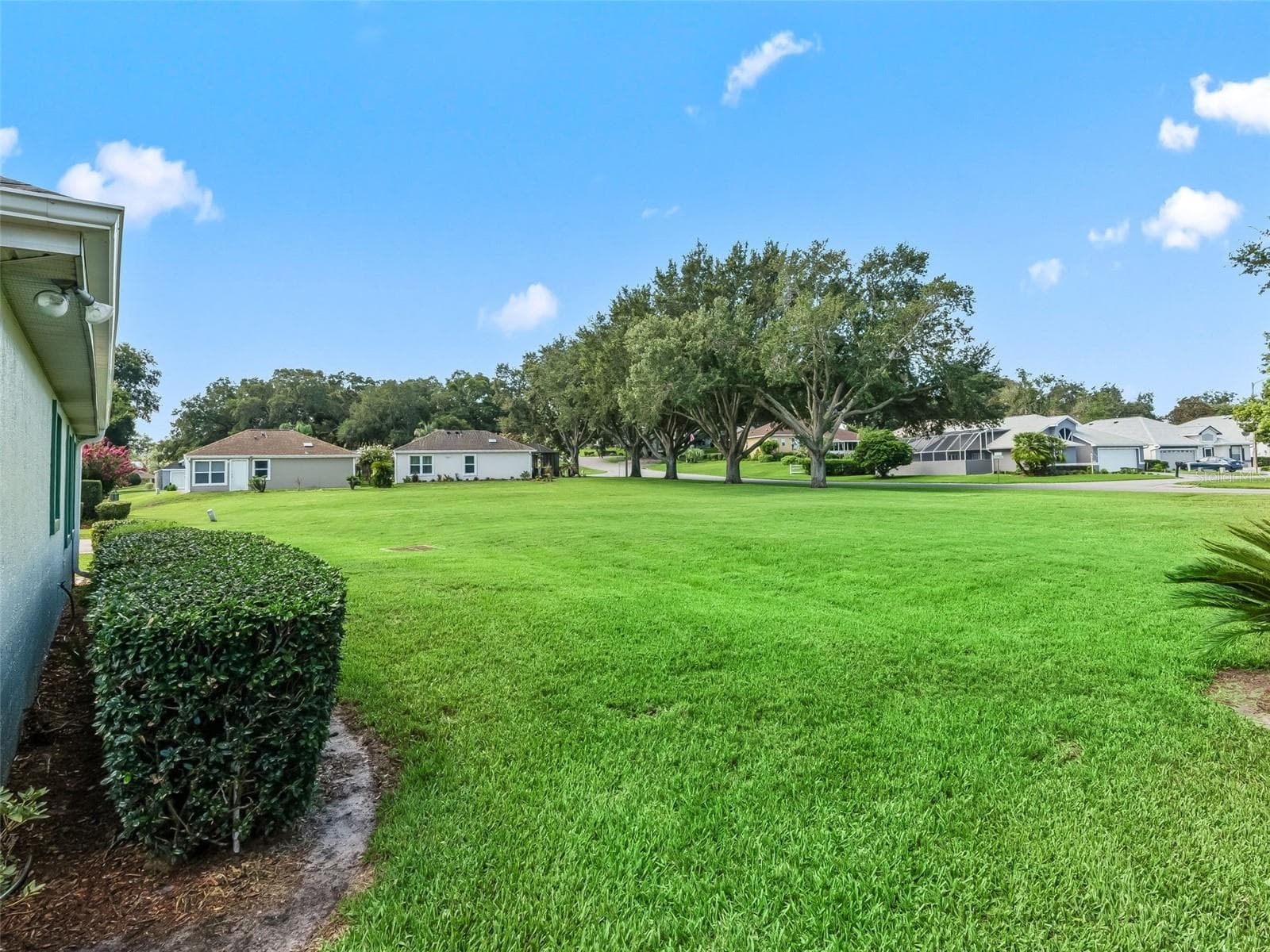 Backyard w/Park Like Setting - 17832 SE 115TH CT, SUMMERFIELD