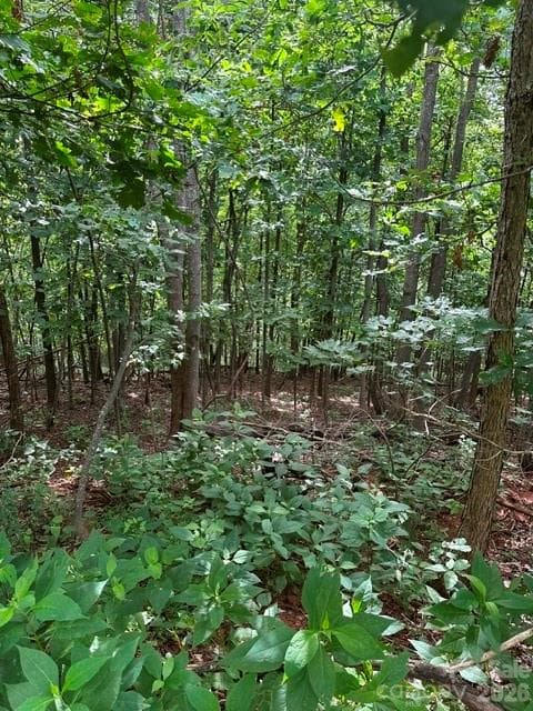 0 Treadway Ridge Drive