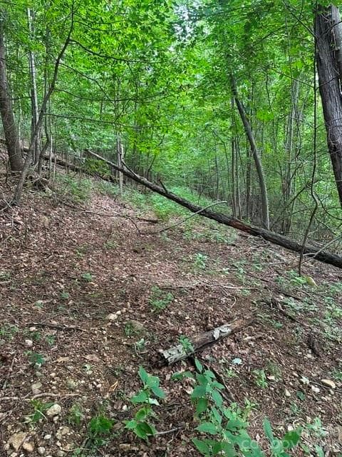 Acreage at 0 Treadway Ridge Drive, Moravian Falls, photo 3 of 7