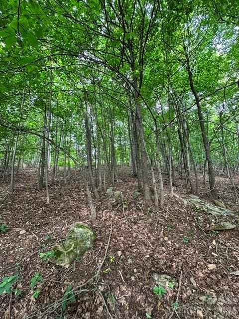 Acreage at 0 Treadway Ridge Drive, Moravian Falls, photo 4 of 7