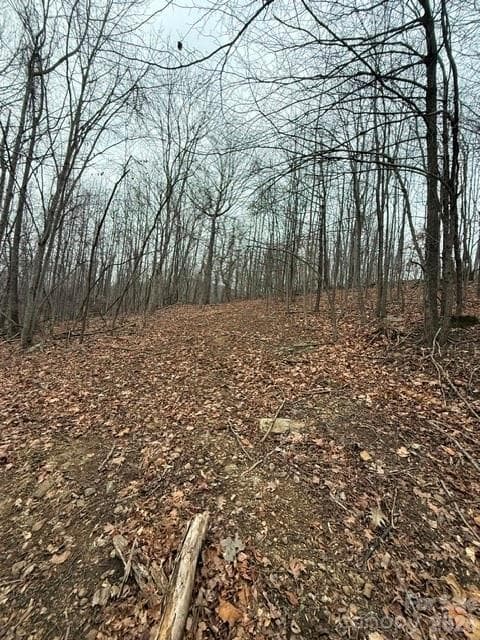 Acreage at 0 Treadway Ridge Road, Moravian Falls, photo 5 of 6