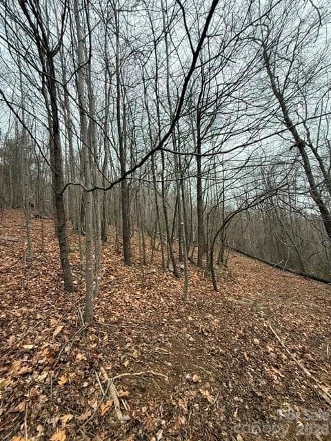 Acreage at 0 Treadway Ridge Road, Moravian Falls, photo 6 of 6