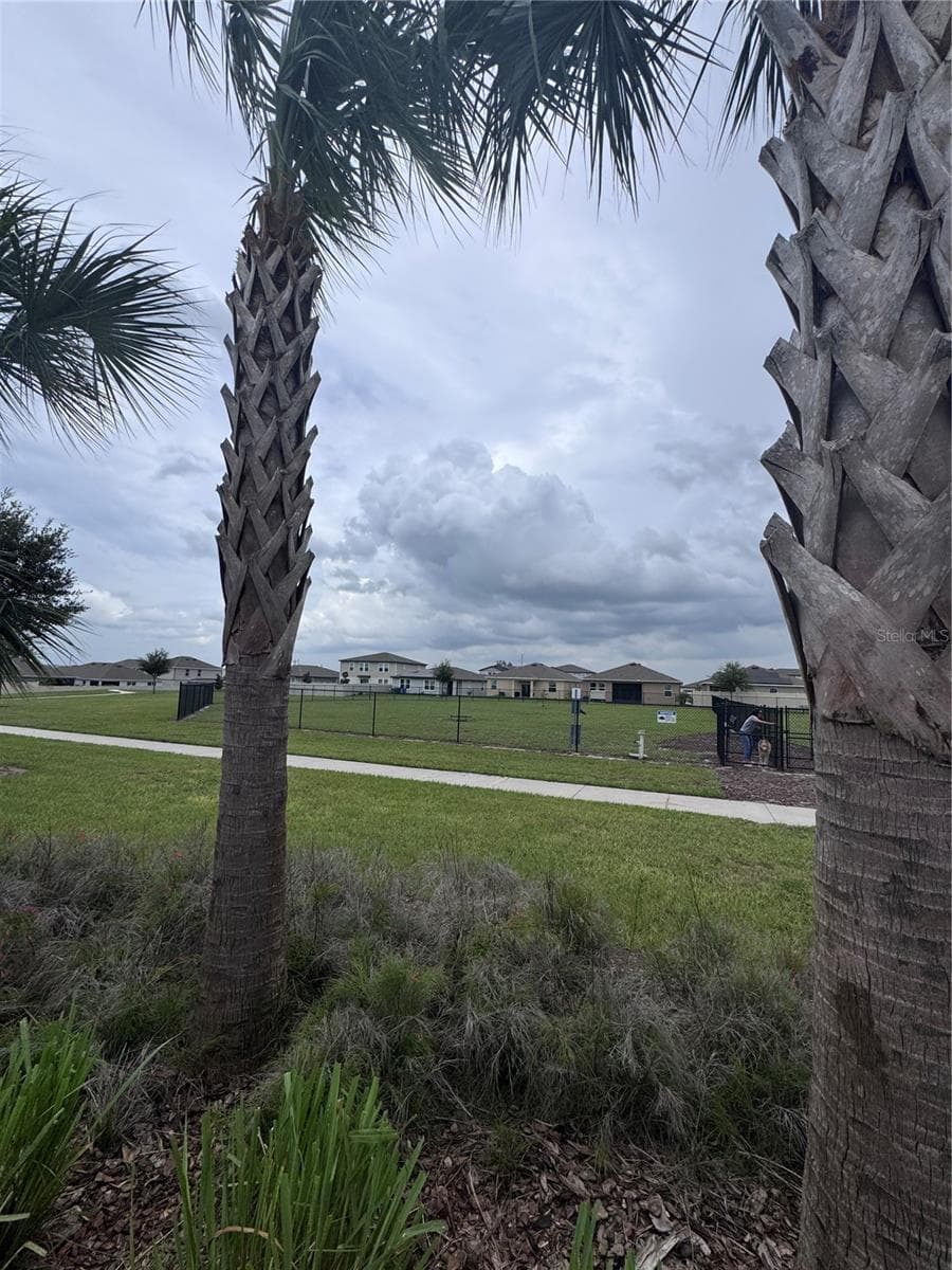 Single Family Residence at 641 GRIFFON AVE, LAKE ALFRED, photo 41 of 46