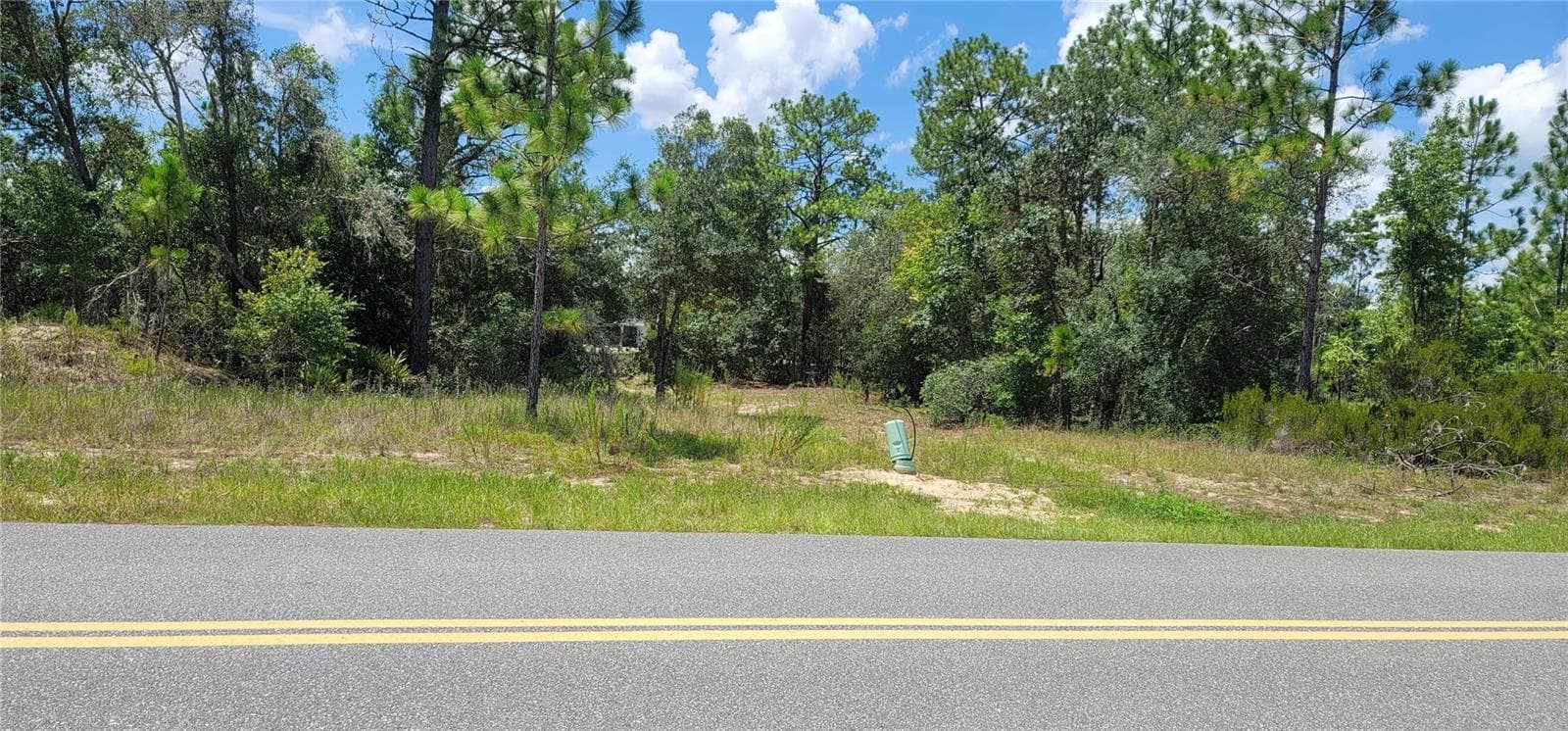 Land at 10339 N G MARTINELLI BLVD, CITRUS SPRINGS, photo 9 of 14
