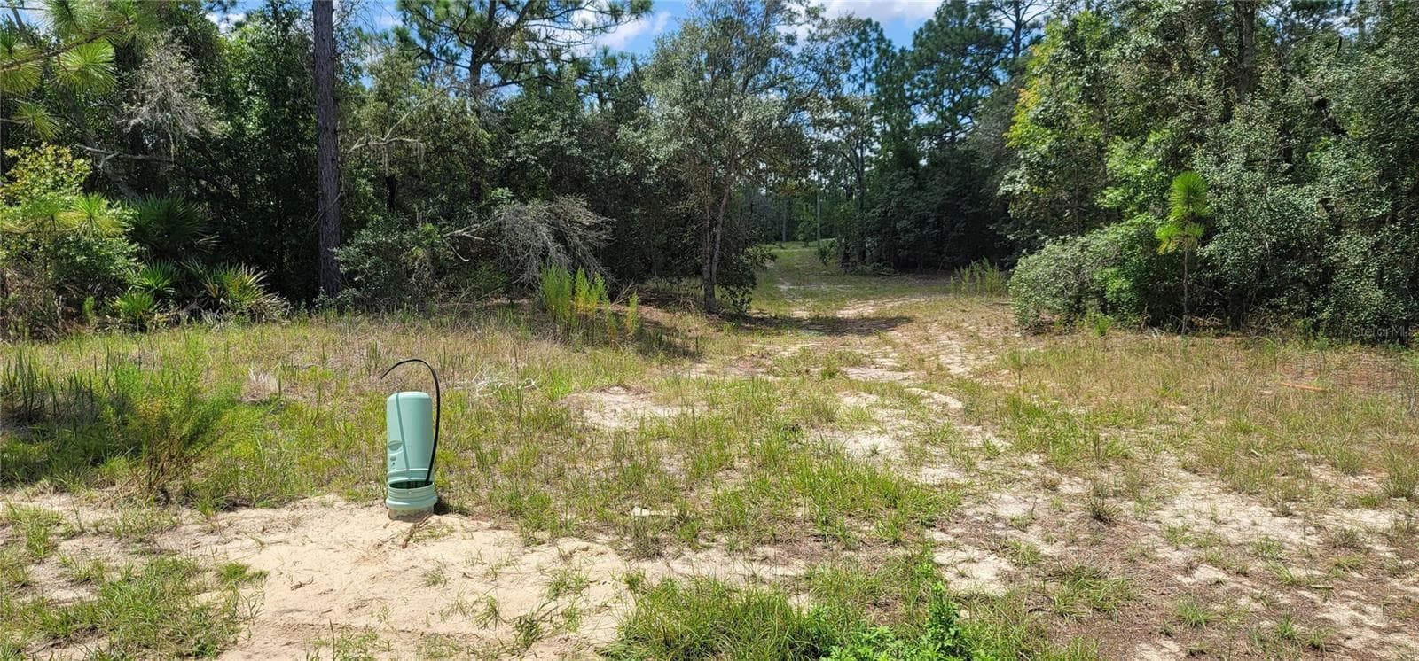 Land at 10339 N G MARTINELLI BLVD, CITRUS SPRINGS, photo 10 of 14